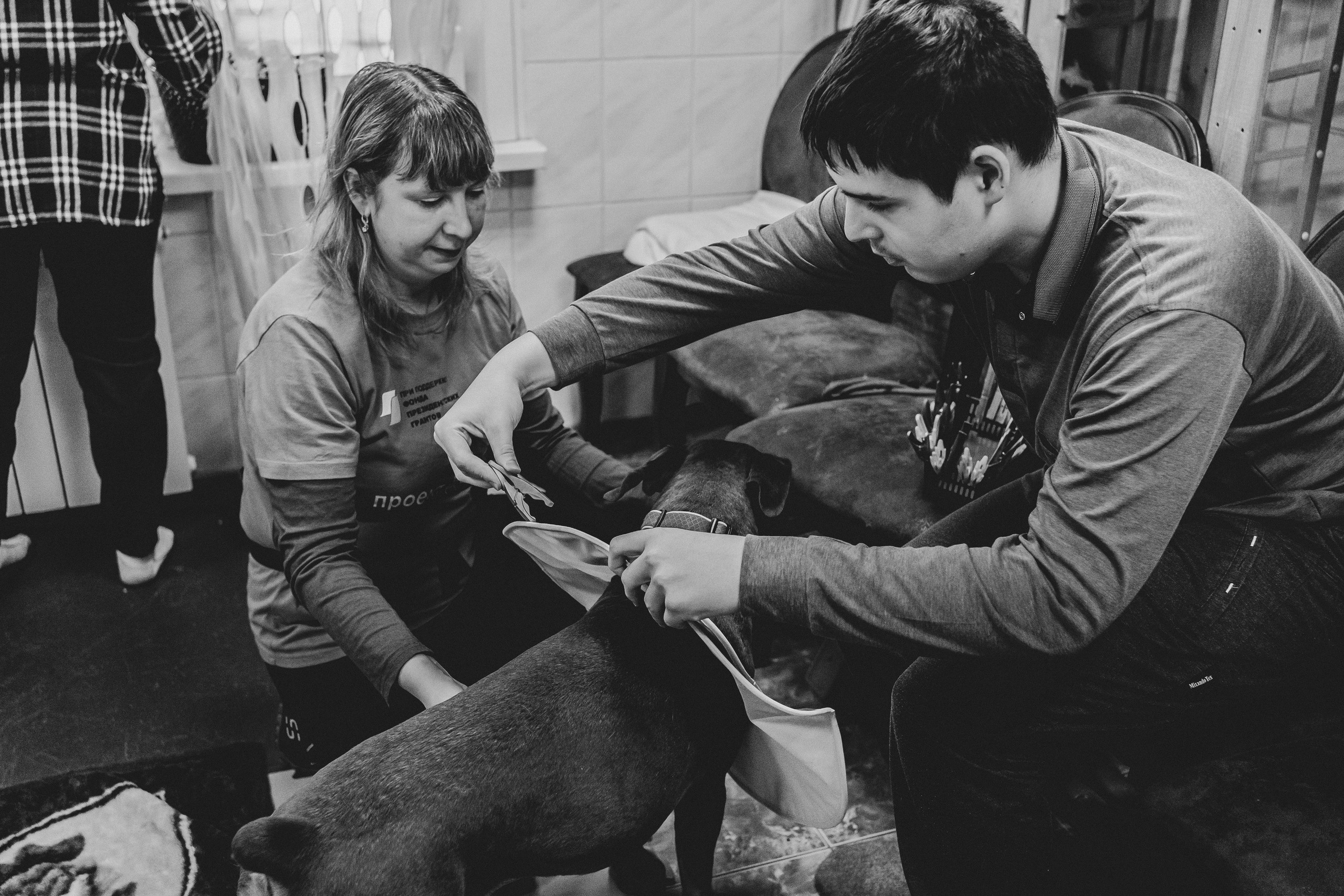 Доктор Пес: канистерапия для детей и подростков с ОВЗ | Кемерово | 2021-2022