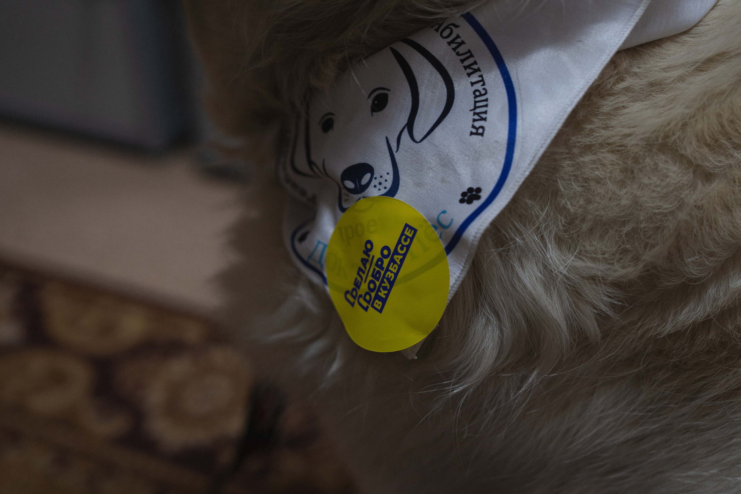 Региональный этап Международной премии #МЫВМЕСТЕ в Кузбассе | Кем-Новокуз | 2022