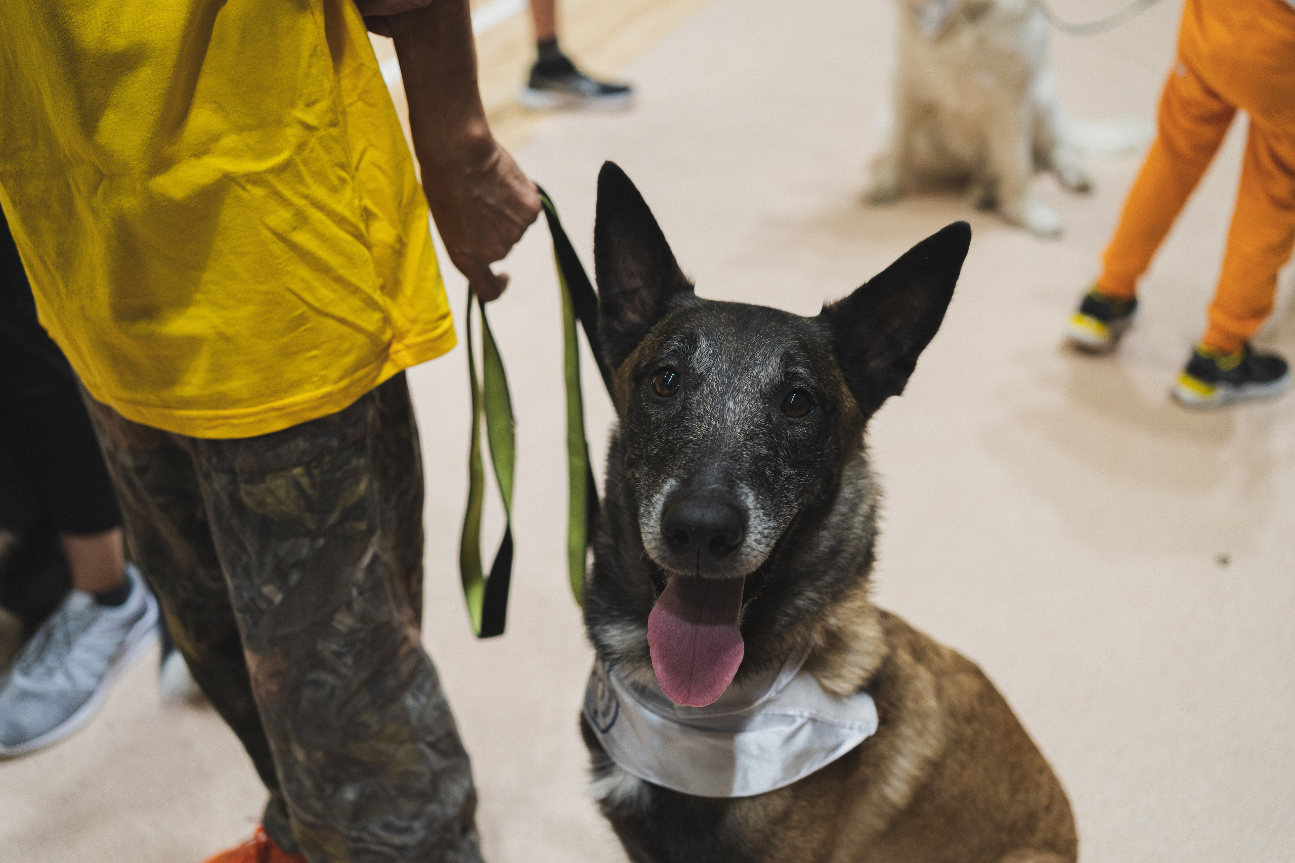 Семейный праздник «Доктор пес & компания» | 2022