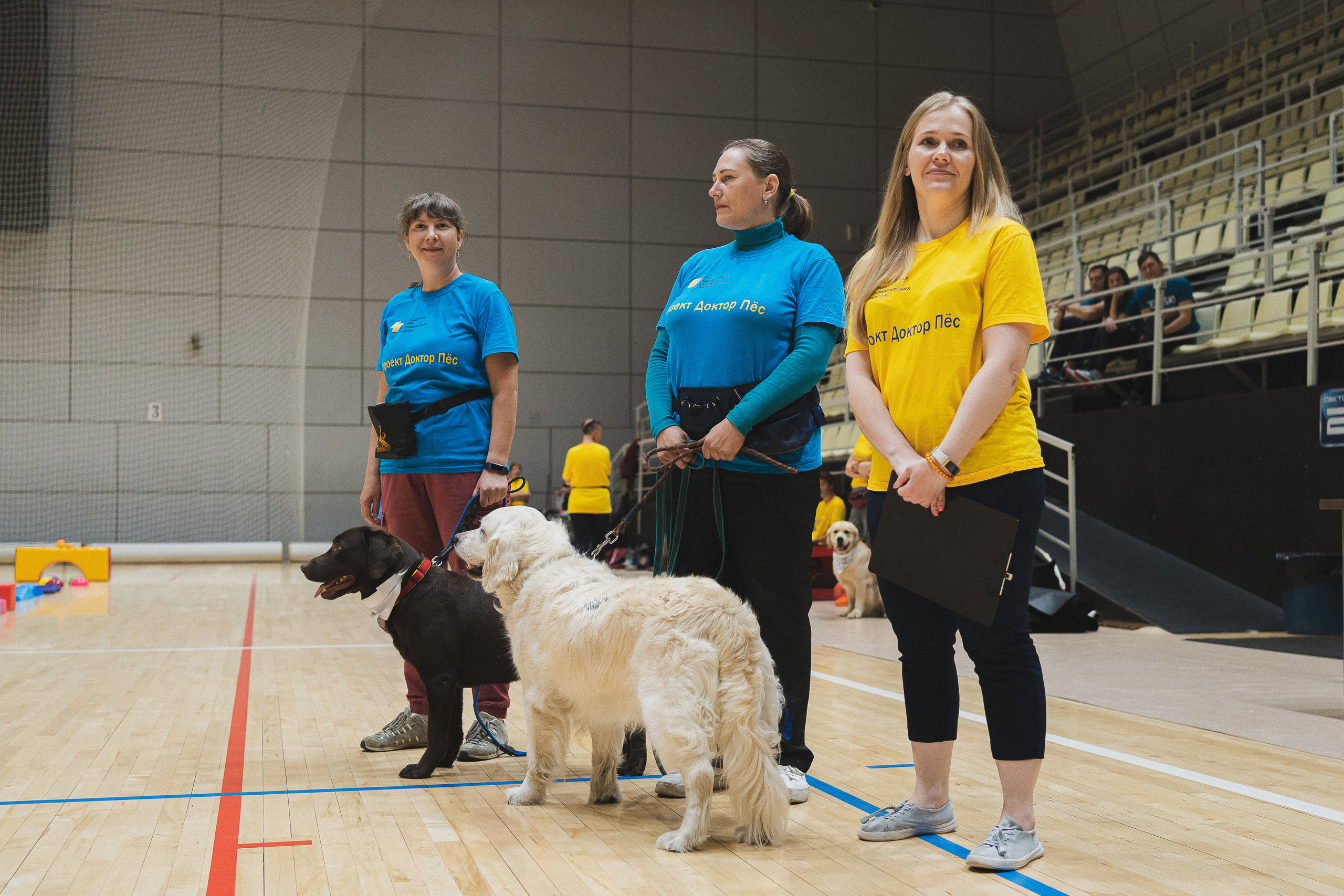 Семейный праздник «Доктор пес & компания» | 2022