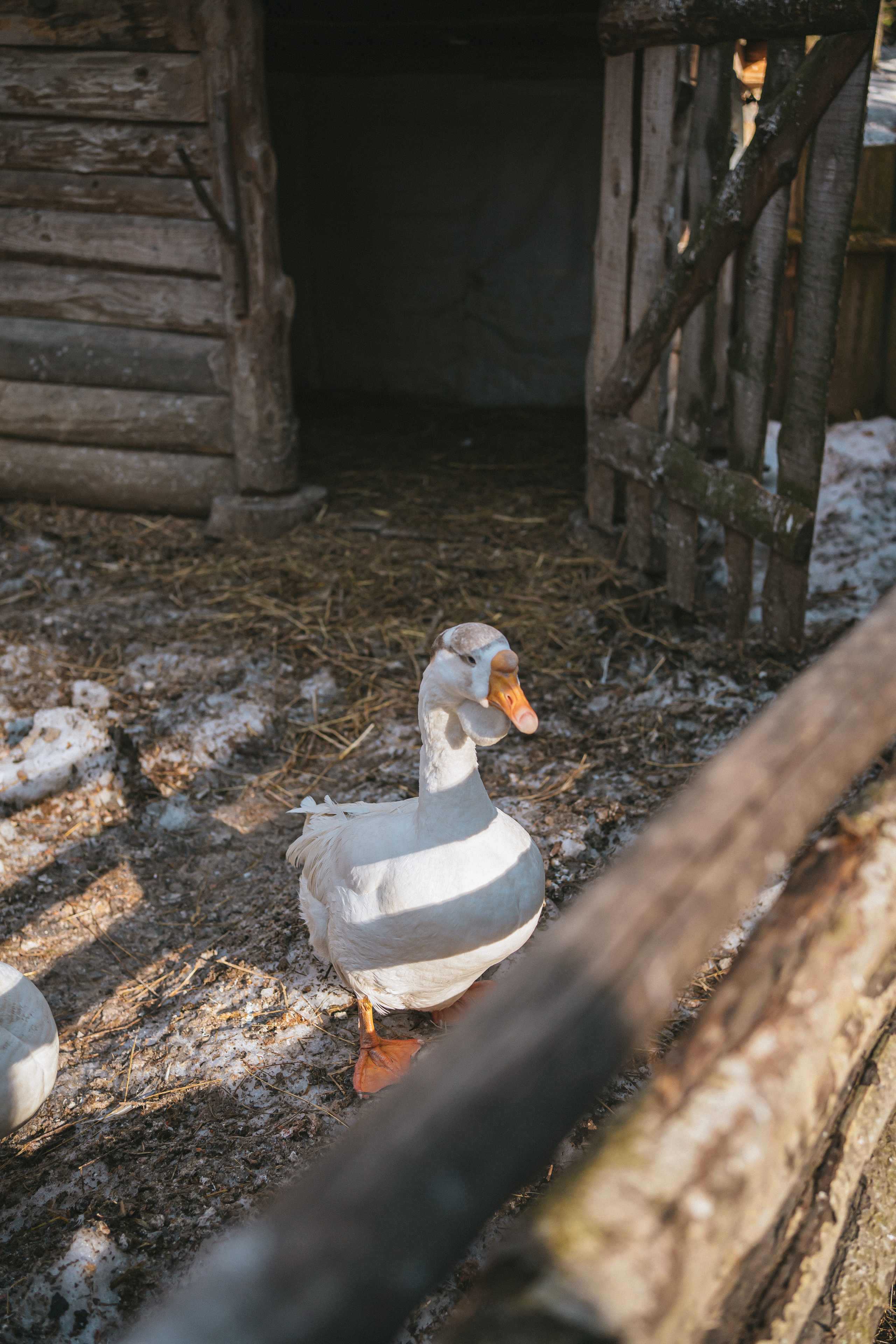 Всероссийская обучающая стажировка АВЦ в Кузбассе | 2022 | Кем-Белово-Новокуз