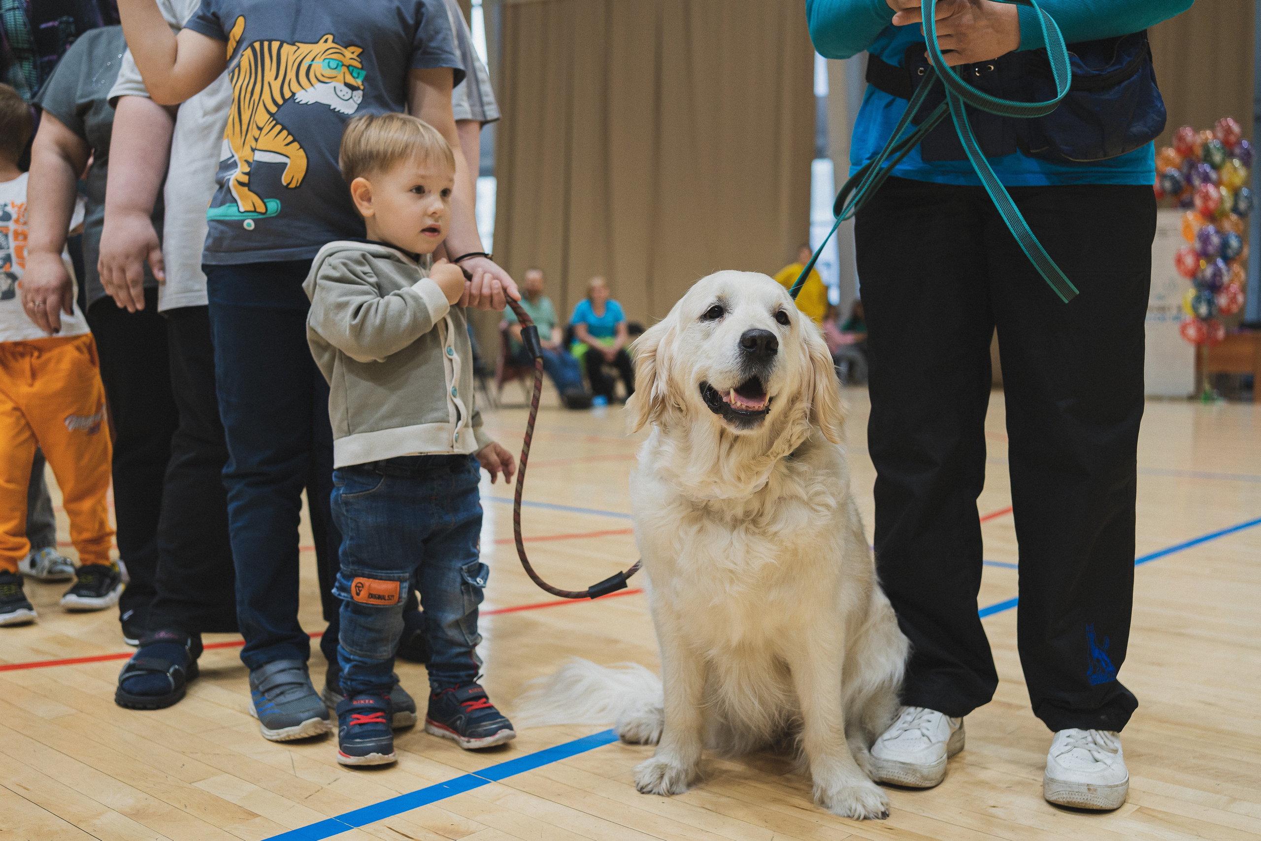 Семейный праздник «Доктор пес & компания» | 2022