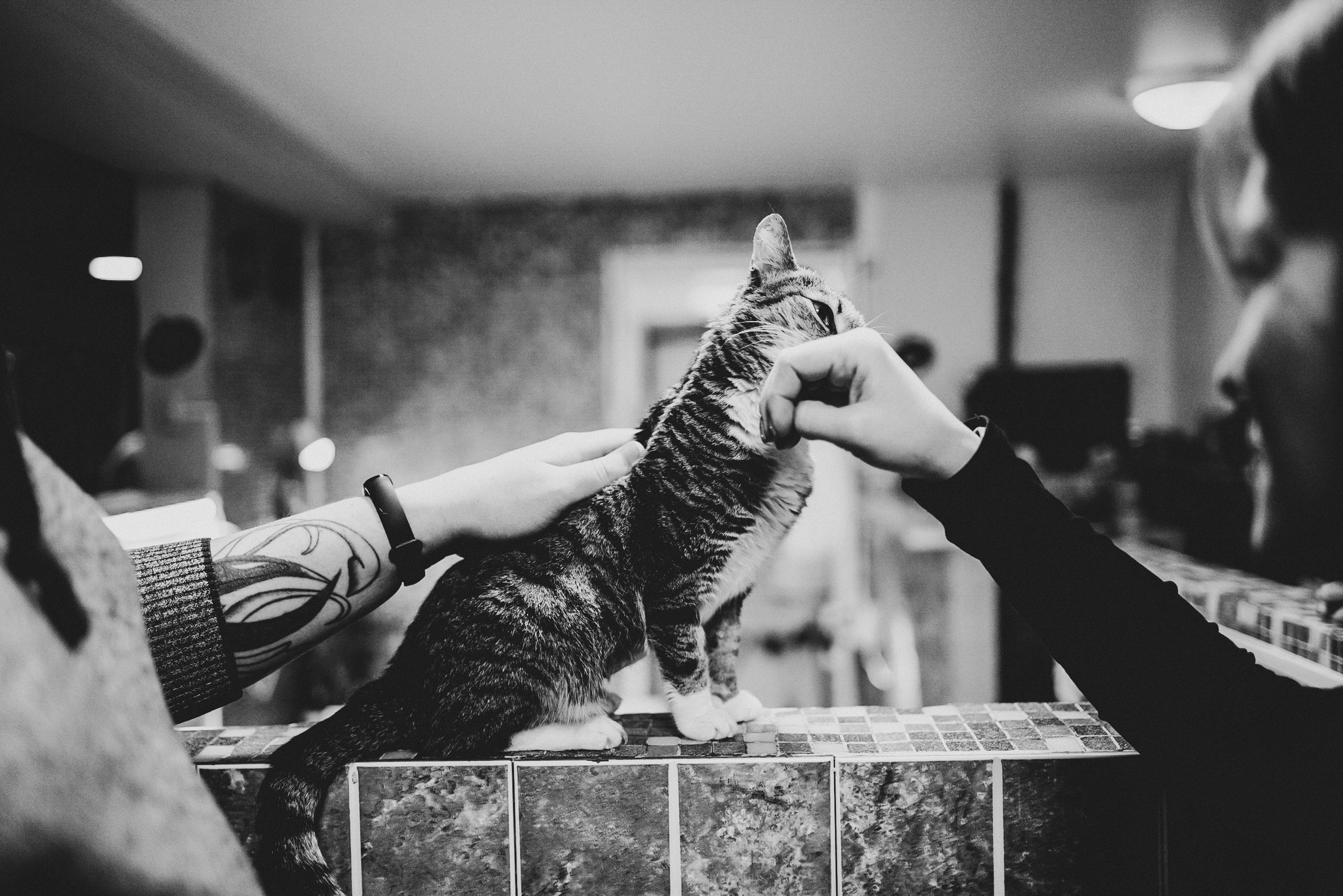 Всероссийская обучающая стажировка АВЦ в Кузбассе | 2022 | Кем-Белово-Новокуз