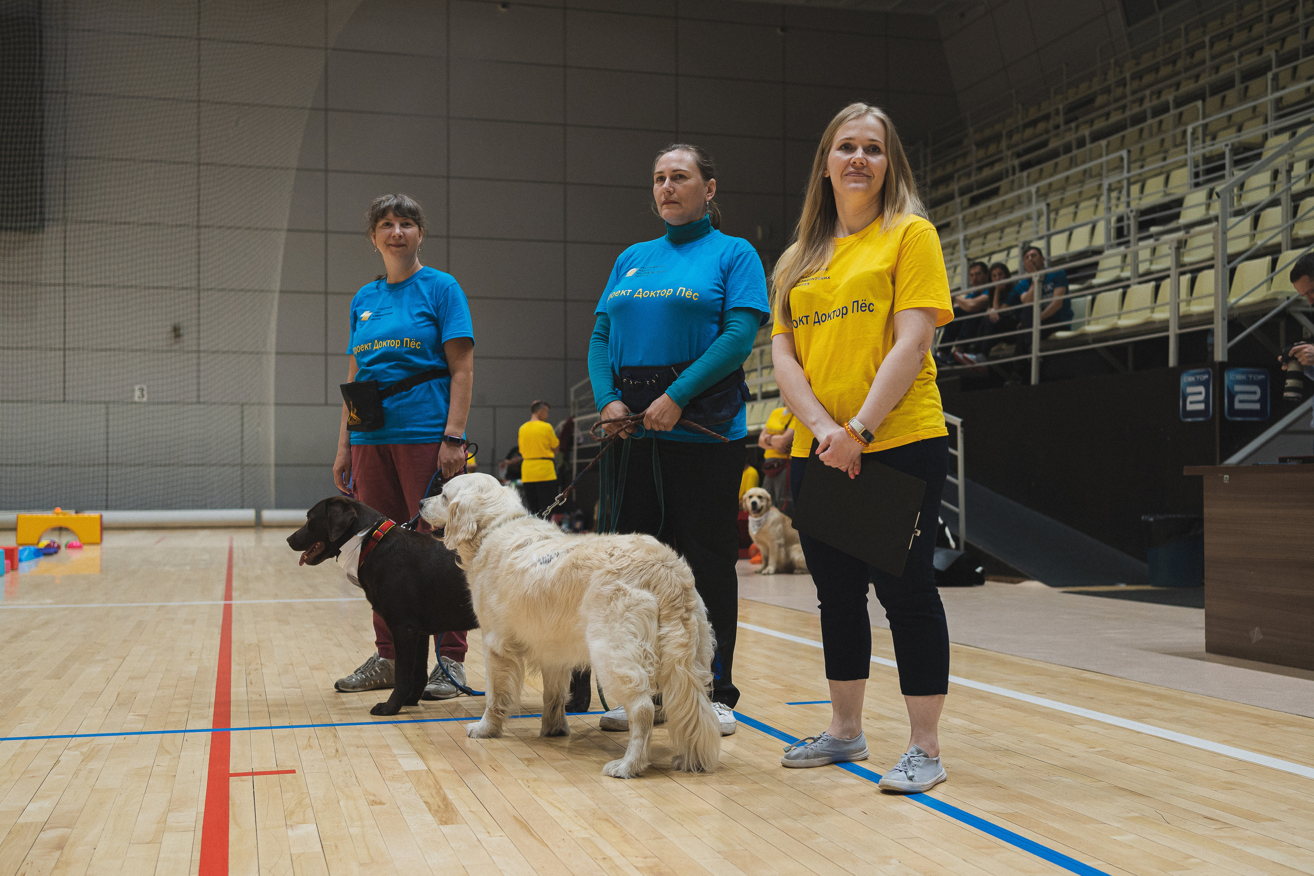 Семейный праздник «Доктор пес & компания» | 2022