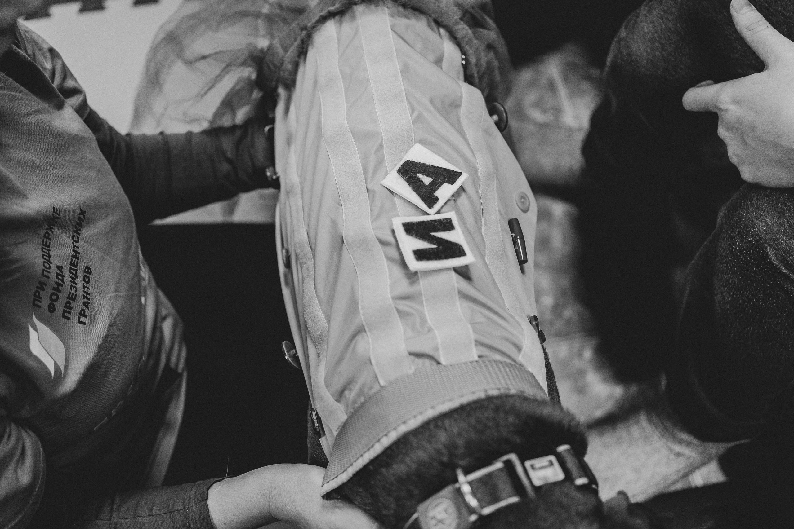 Доктор Пес: канистерапия для детей и подростков с ОВЗ | Кемерово | 2021-2022