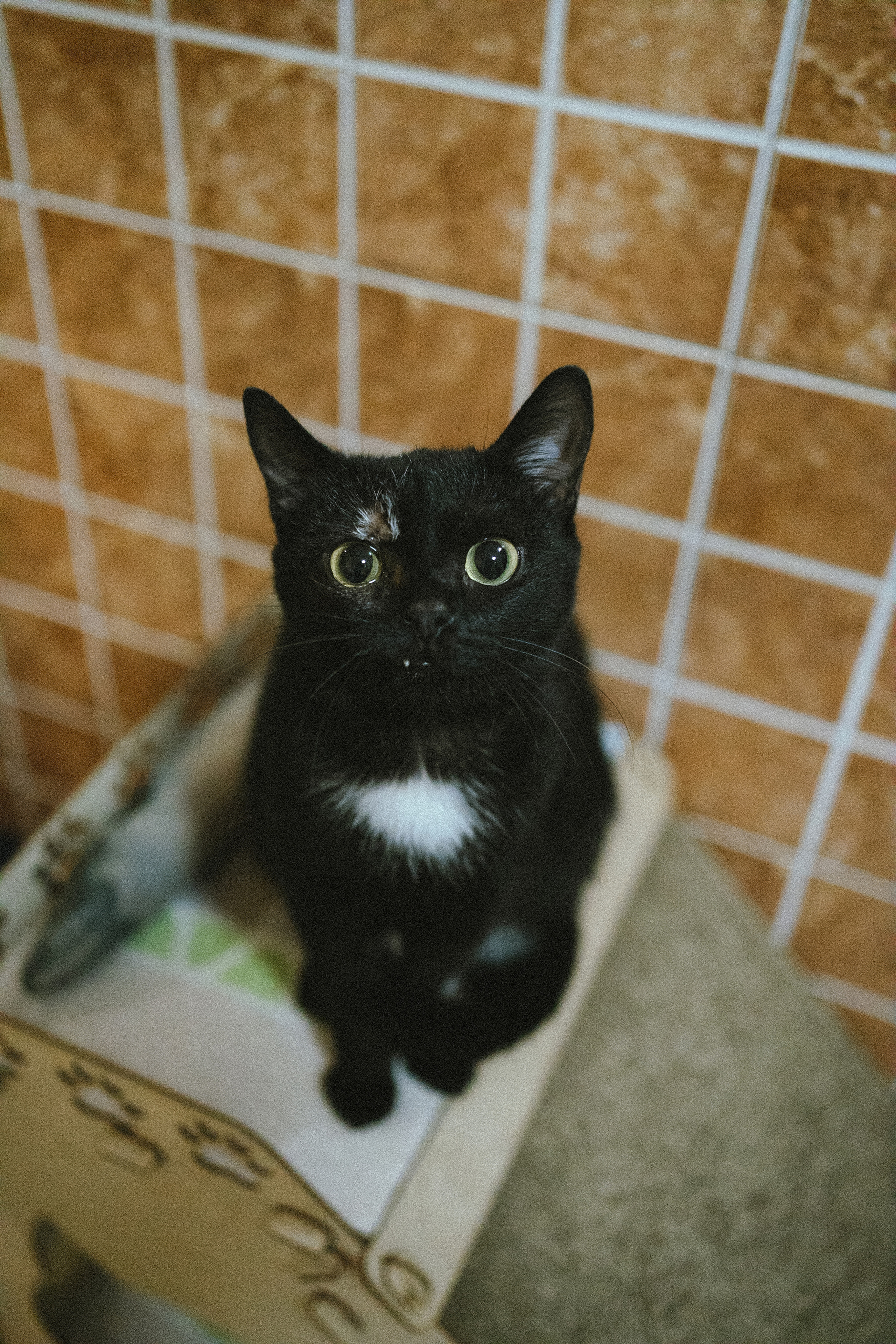 Всероссийская обучающая стажировка АВЦ в Кузбассе | 2022 | Кем-Белово-Новокуз