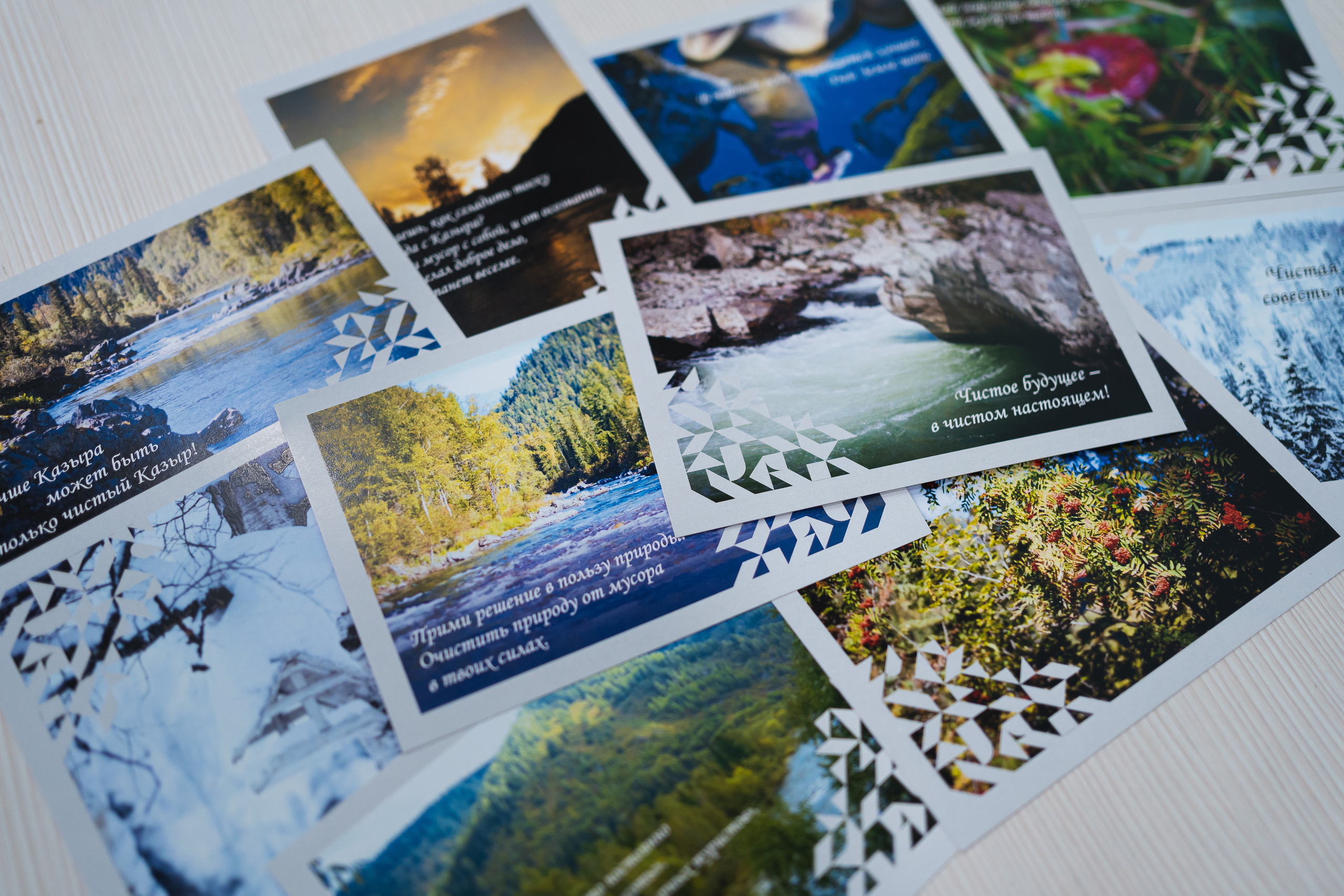 Региональный этап Международной премии #МЫВМЕСТЕ в Кузбассе | Кем-Новокуз | 2022