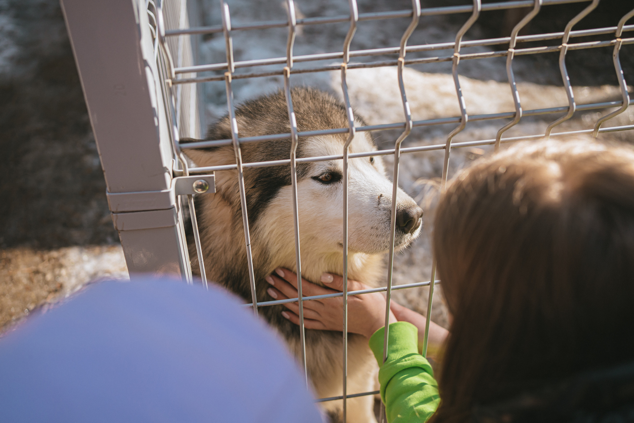 Всероссийская обучающая стажировка АВЦ в Кузбассе | 2022 | Кем-Белово-Новокуз