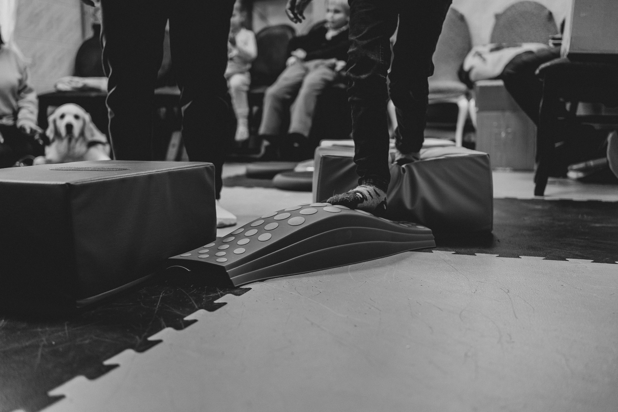 Доктор Пес: канистерапия для детей и подростков с ОВЗ | Кемерово | 2021-2022