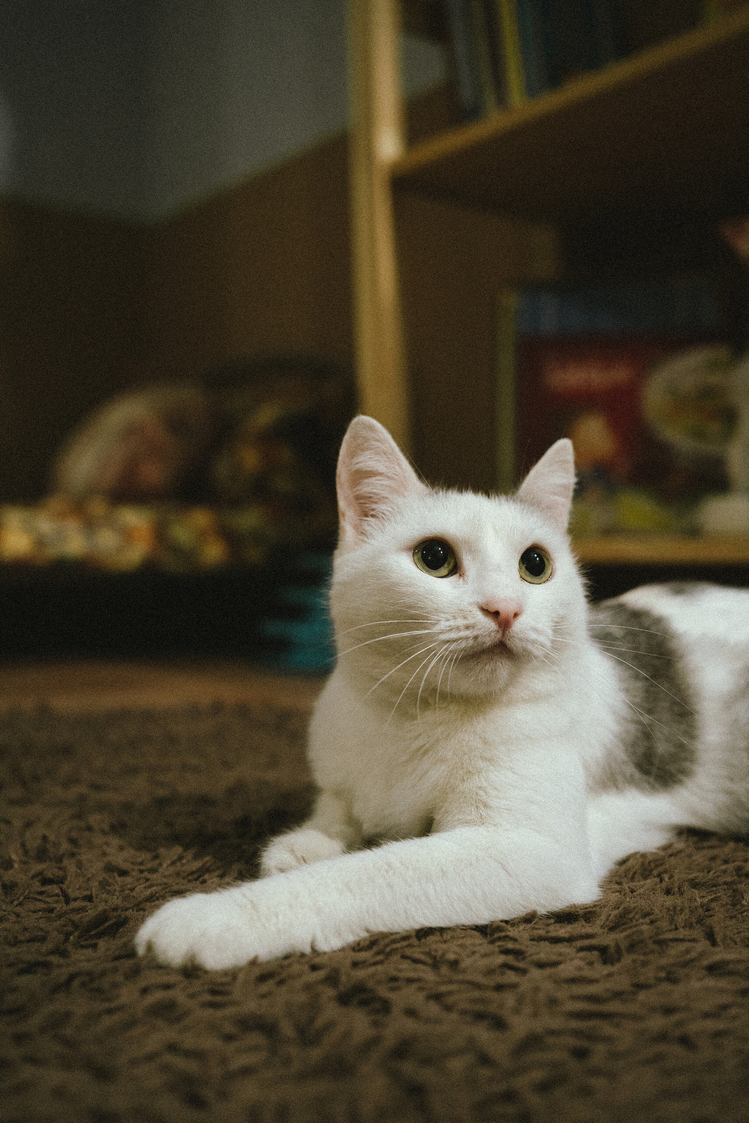 Всероссийская обучающая стажировка АВЦ в Кузбассе | 2022 | Кем-Белово-Новокуз