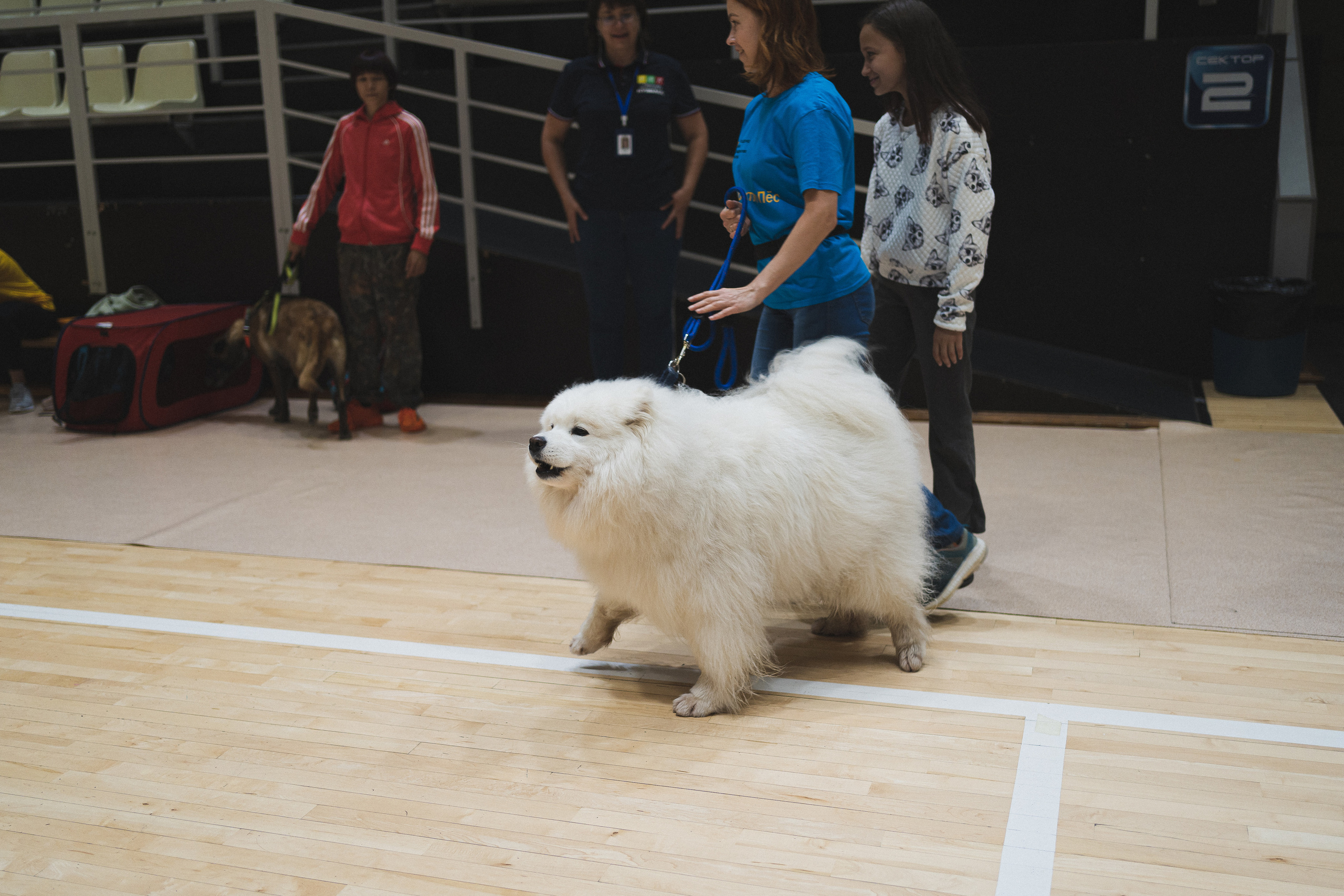 Семейный праздник «Доктор пес & компания» | 2022