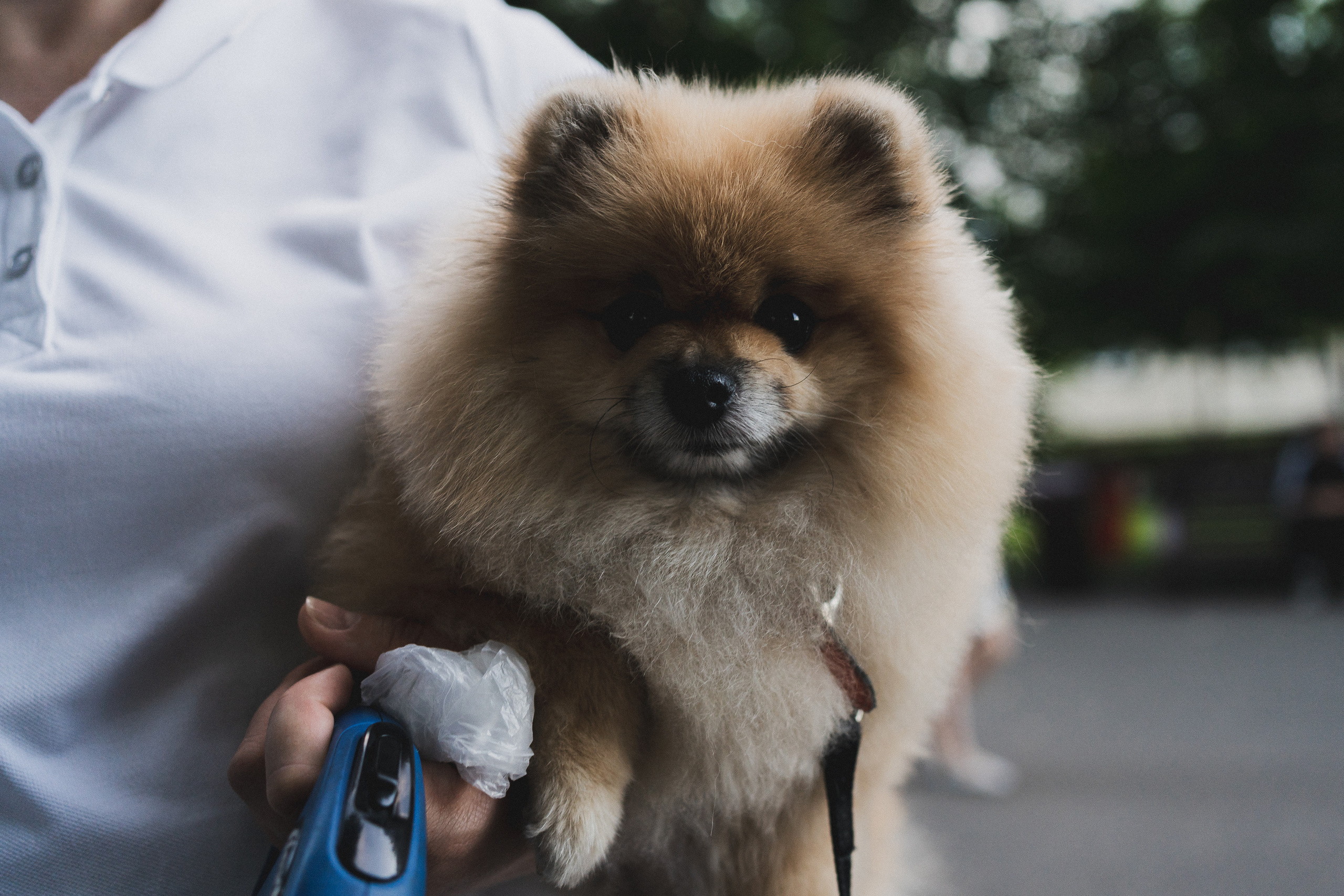 Всероссийские акции «Свеча Памяти» и «Огненная картина» |Кемерово|2022