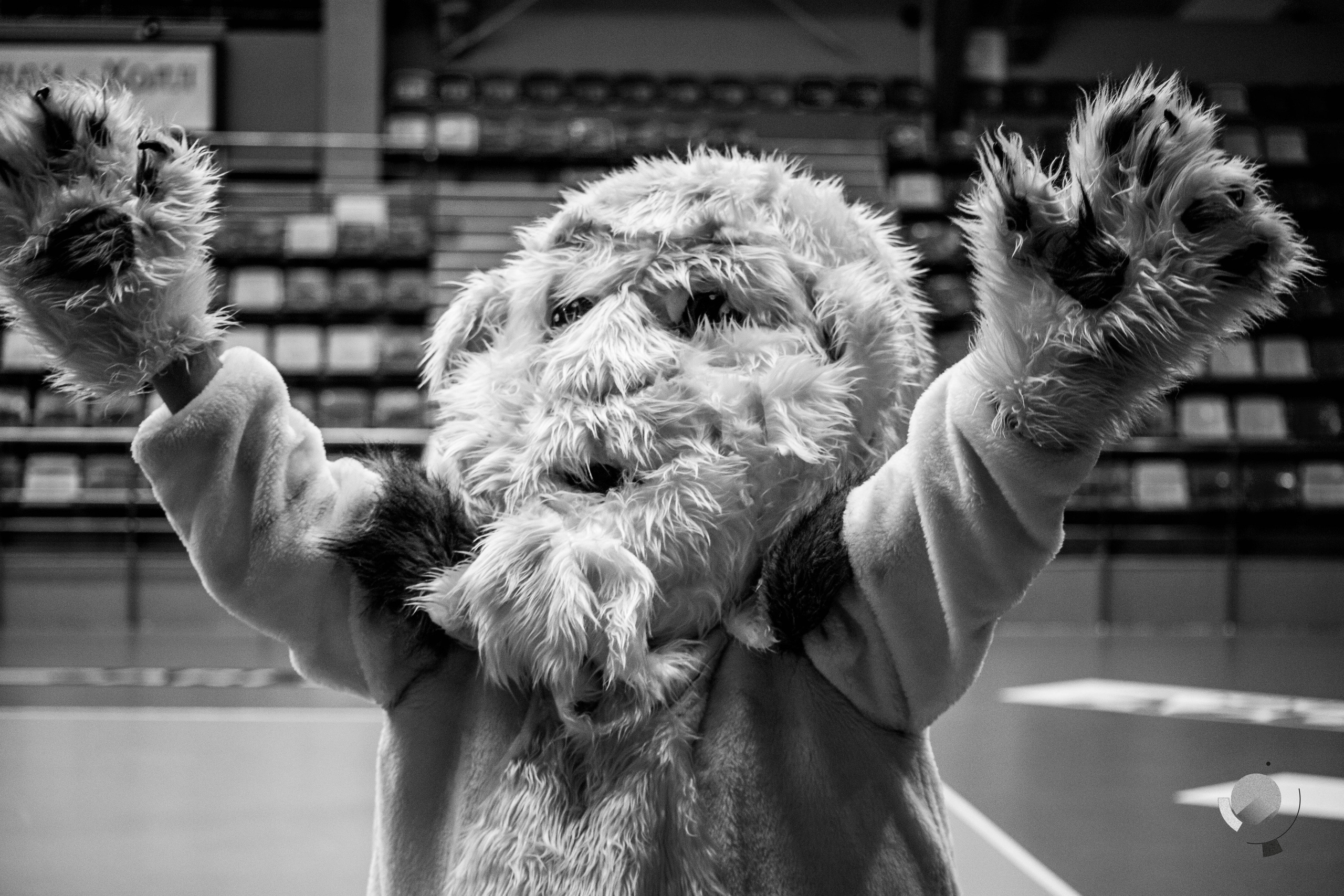 Первенство Сибирского/Уральского «Дивизиона» по волейболу 2021 | Кемерово