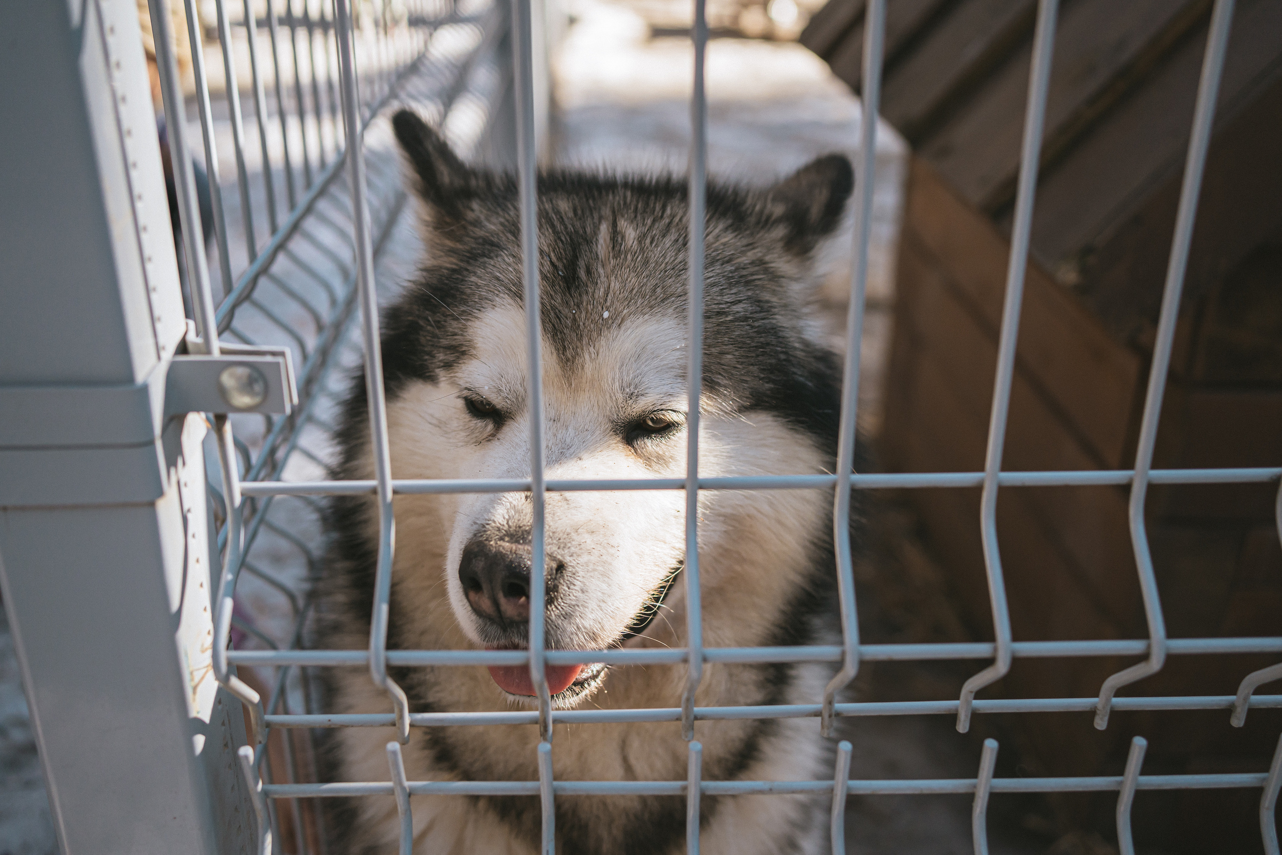 Всероссийская обучающая стажировка АВЦ в Кузбассе | 2022 | Кем-Белово-Новокуз