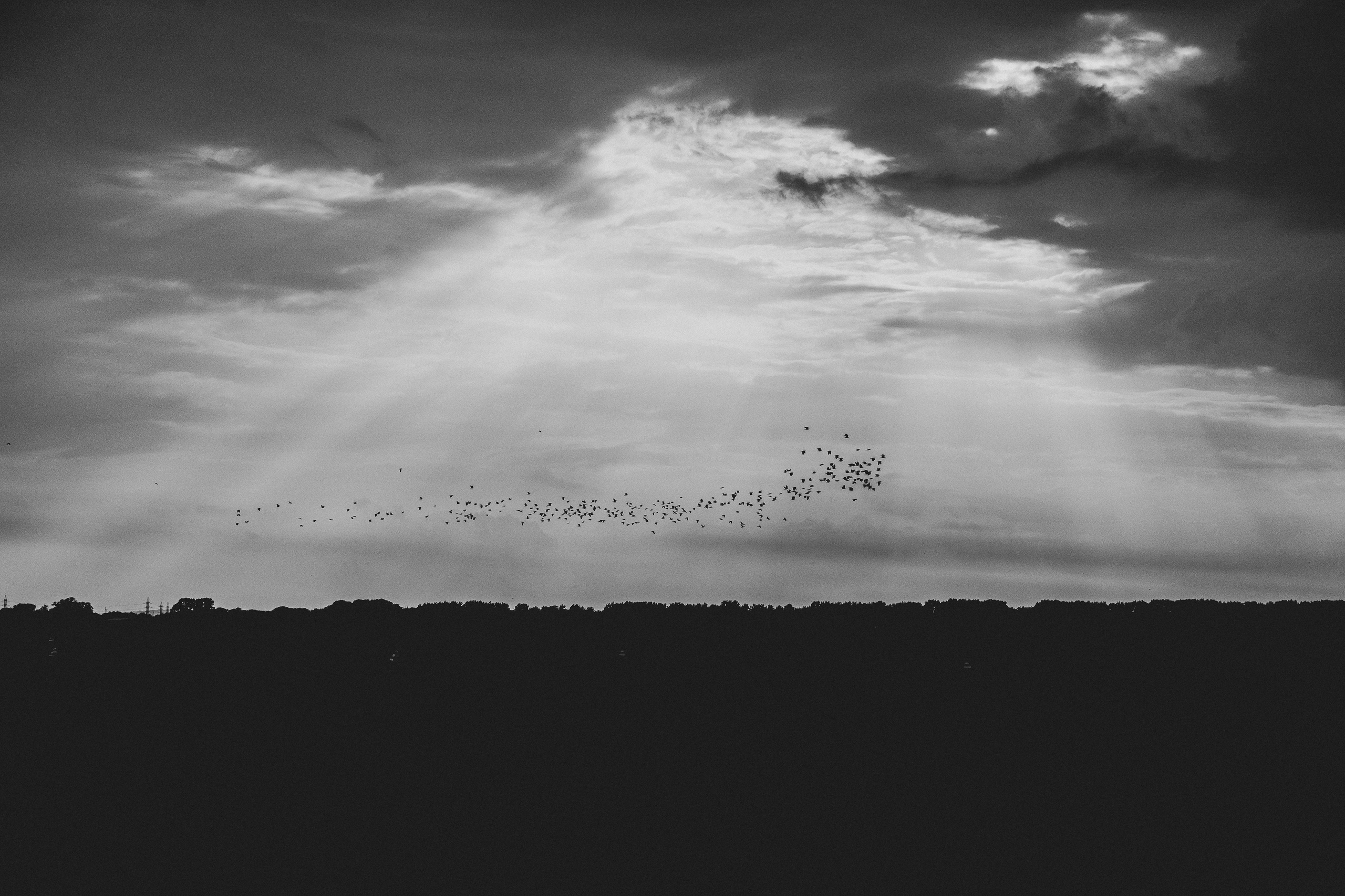 Мультимедийный фестиваль «НЕБОФЕСТ-2022» | Кемерово