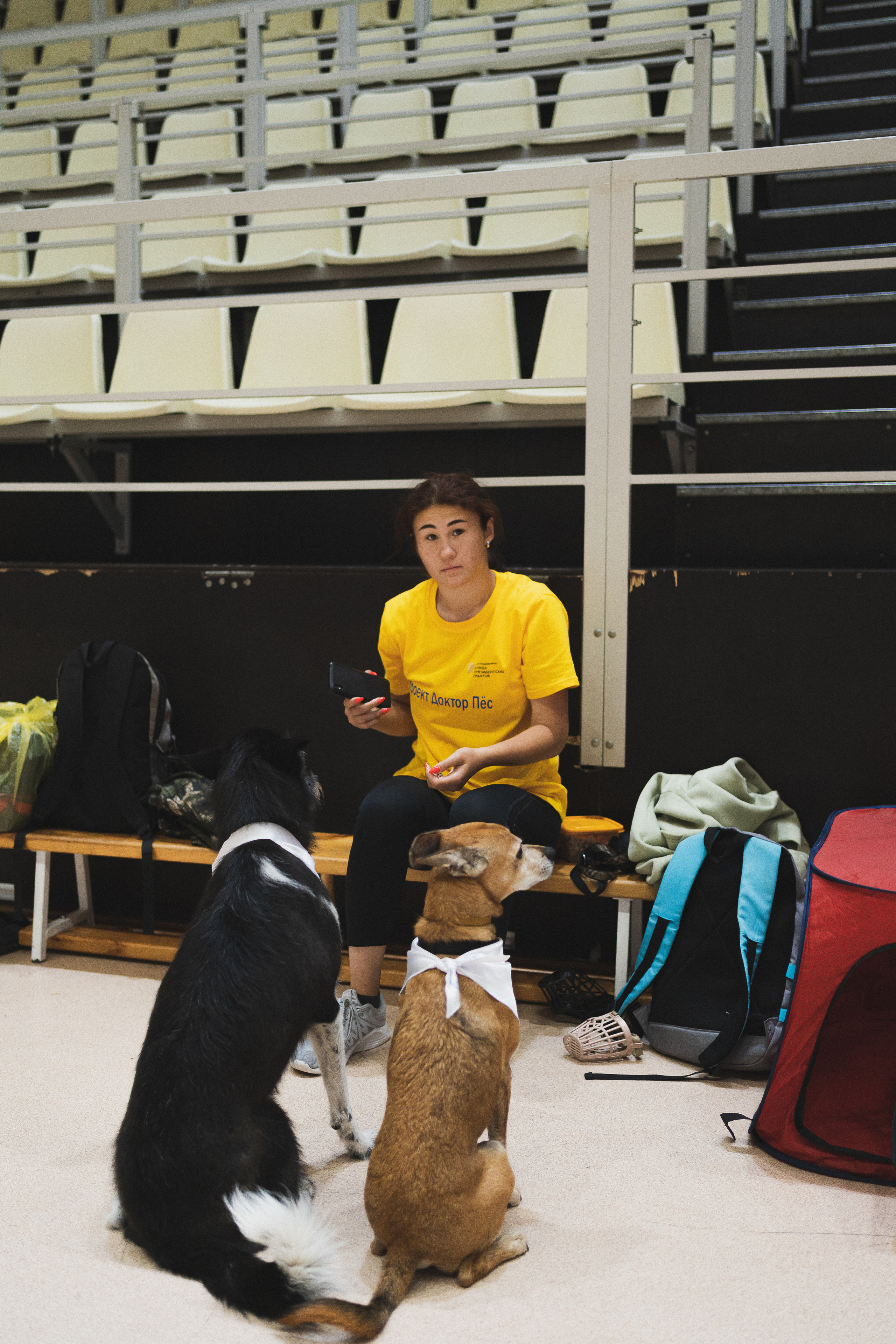 Семейный праздник «Доктор пес & компания» | 2022