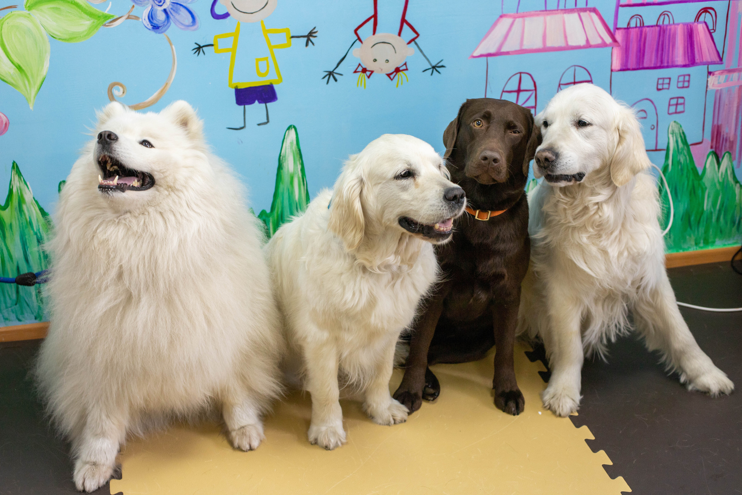 Доктор Пес: канистерапия для детей и подростков с ОВЗ | Кемерово | 2021-2022