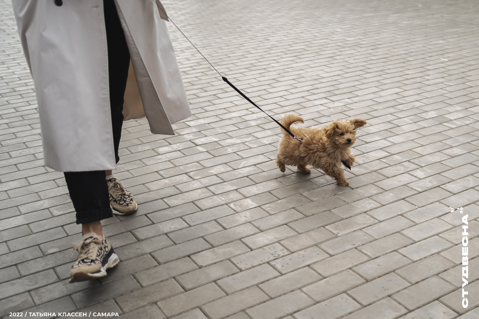 XXX ВСЕРОССИЙСКИЙ ФЕСТИВАЛЬ «РОССИЙСКАЯ СТУДЕНЧЕСКАЯ ВЕСНА» | Самара | 2022