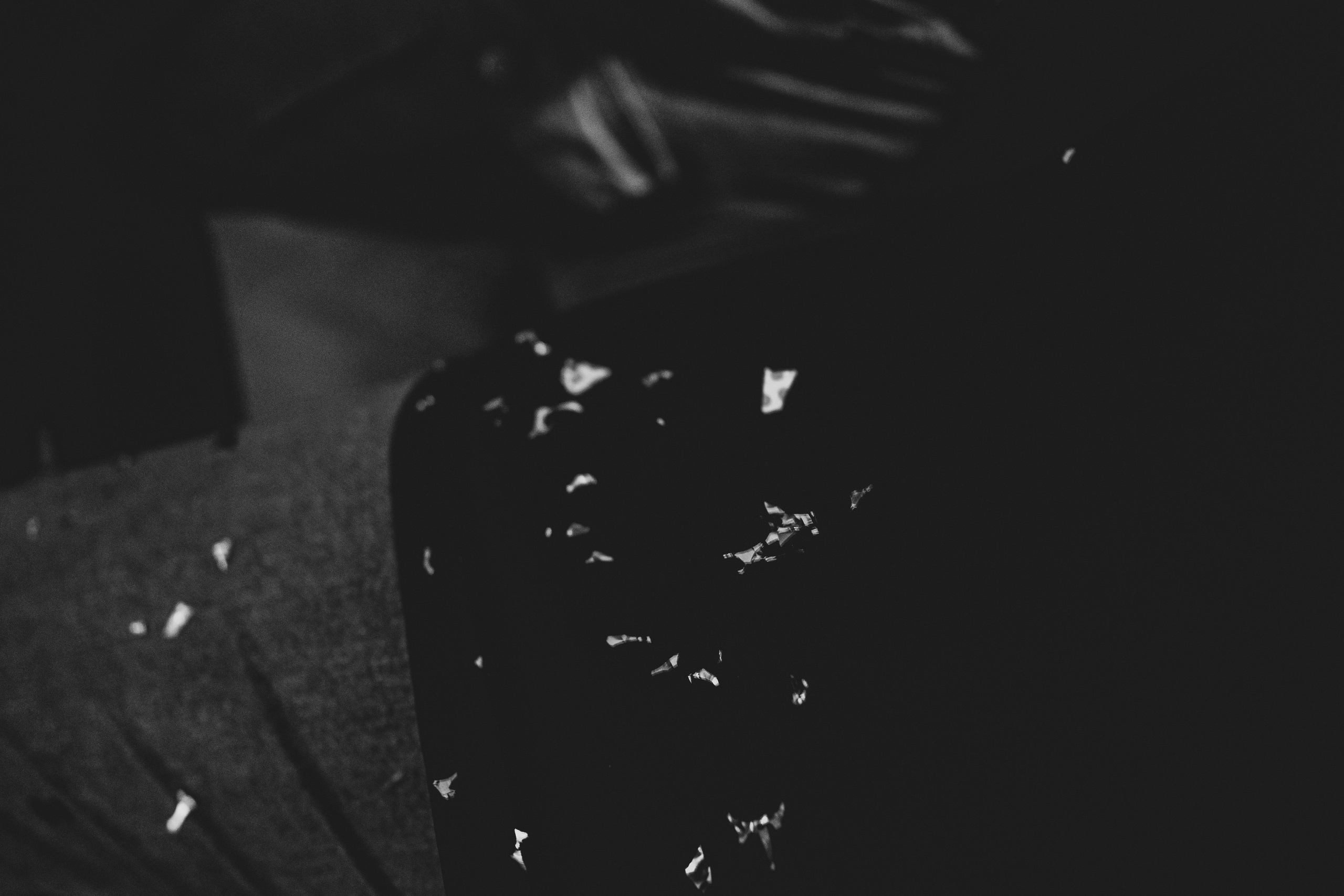 СТУДВЕСНА | КузГСХА | 2022