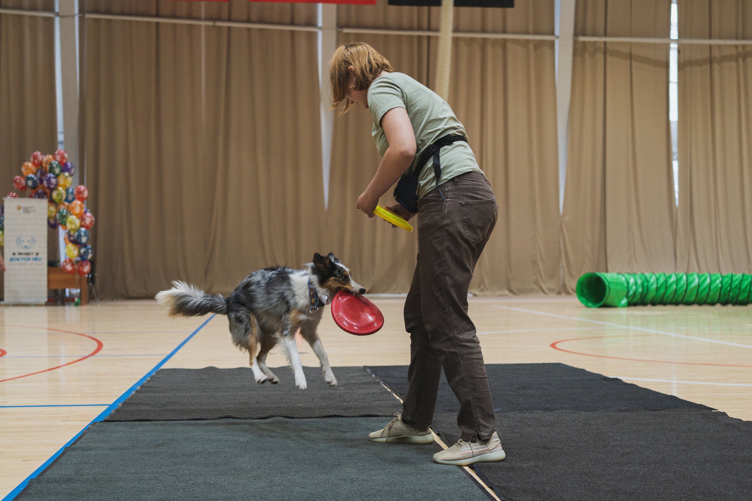 Семейный праздник «Доктор пес & компания» | 2022