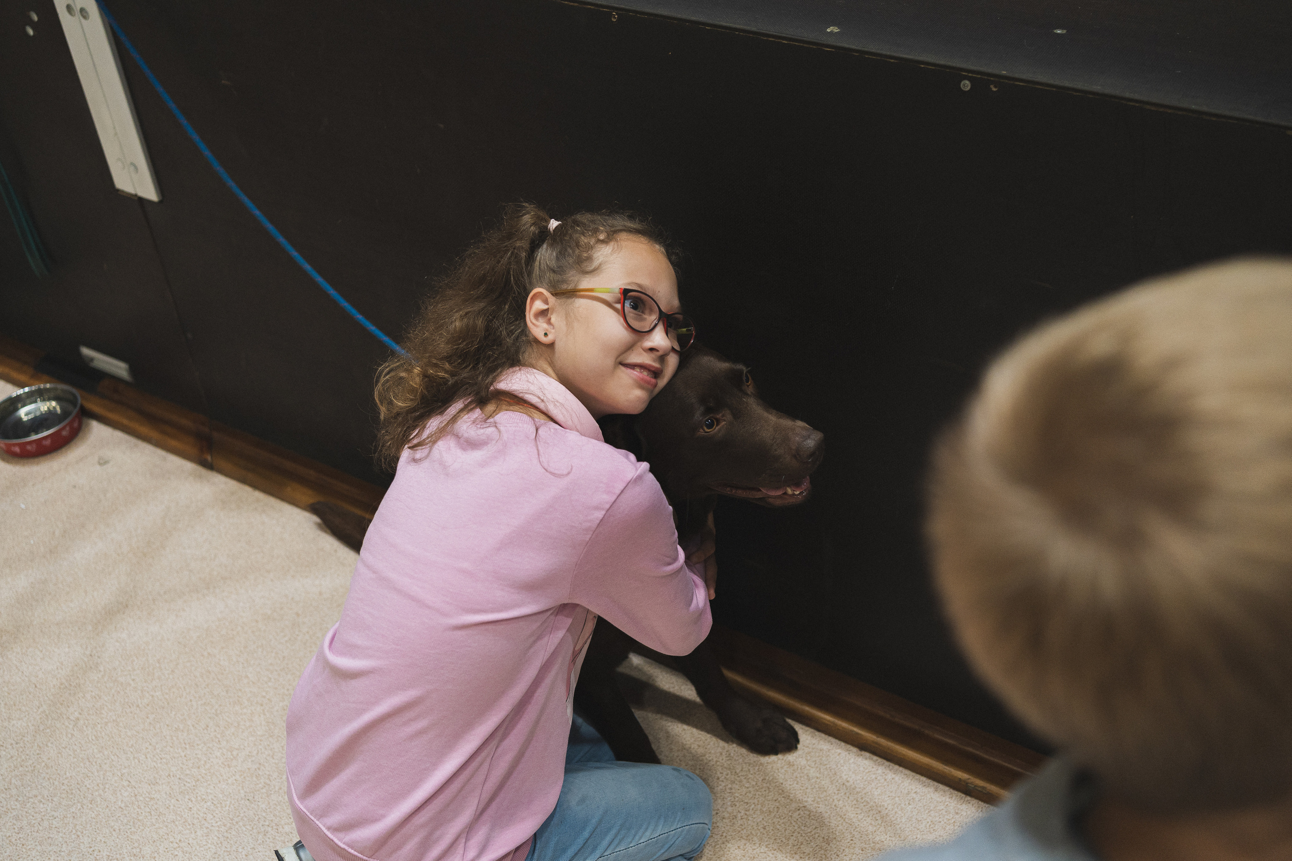 Семейный праздник «Доктор пес & компания» | 2022