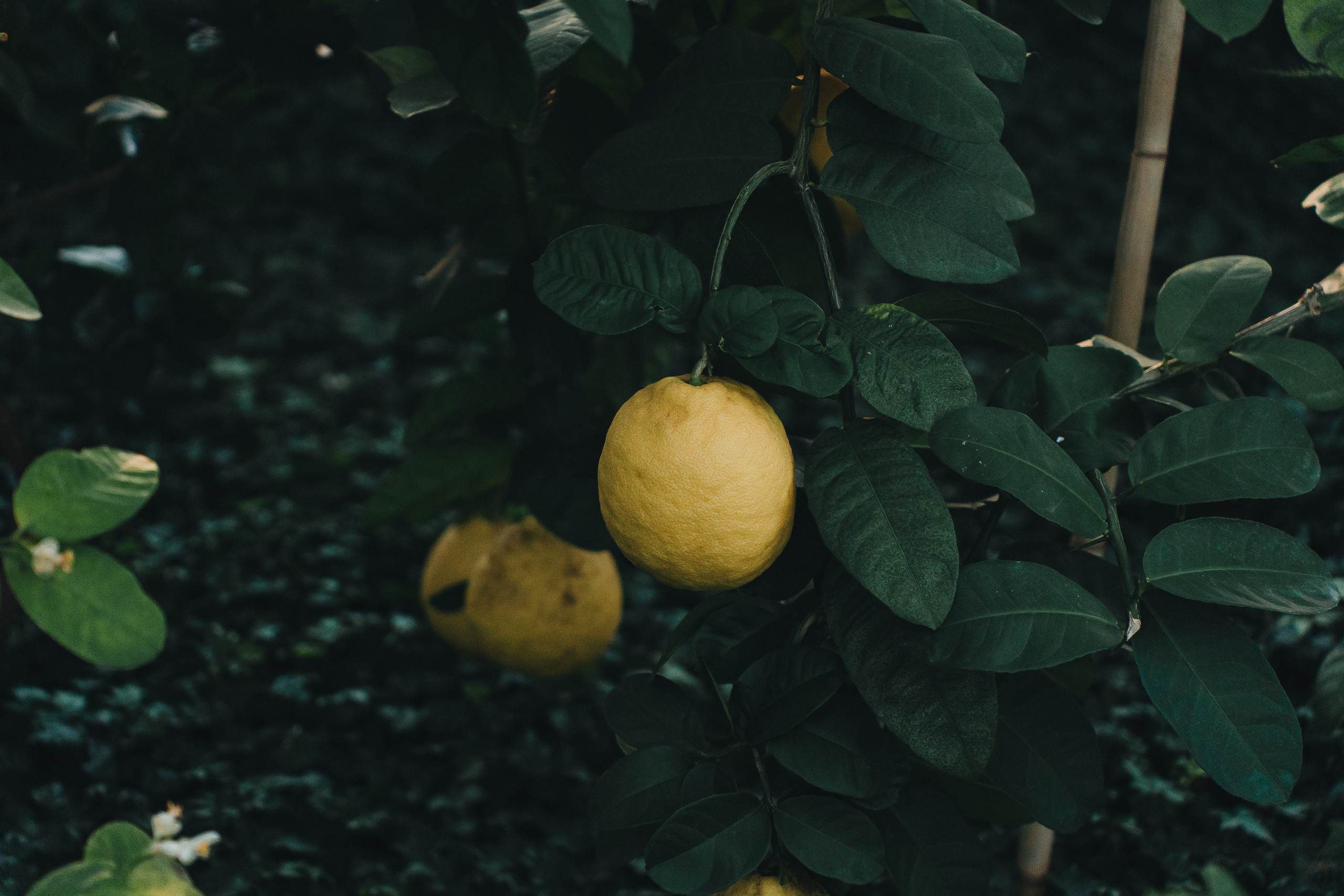 Региональный фестиваль добровольцев «Делаем добро в Кузбассе» | ЛДК | 2022