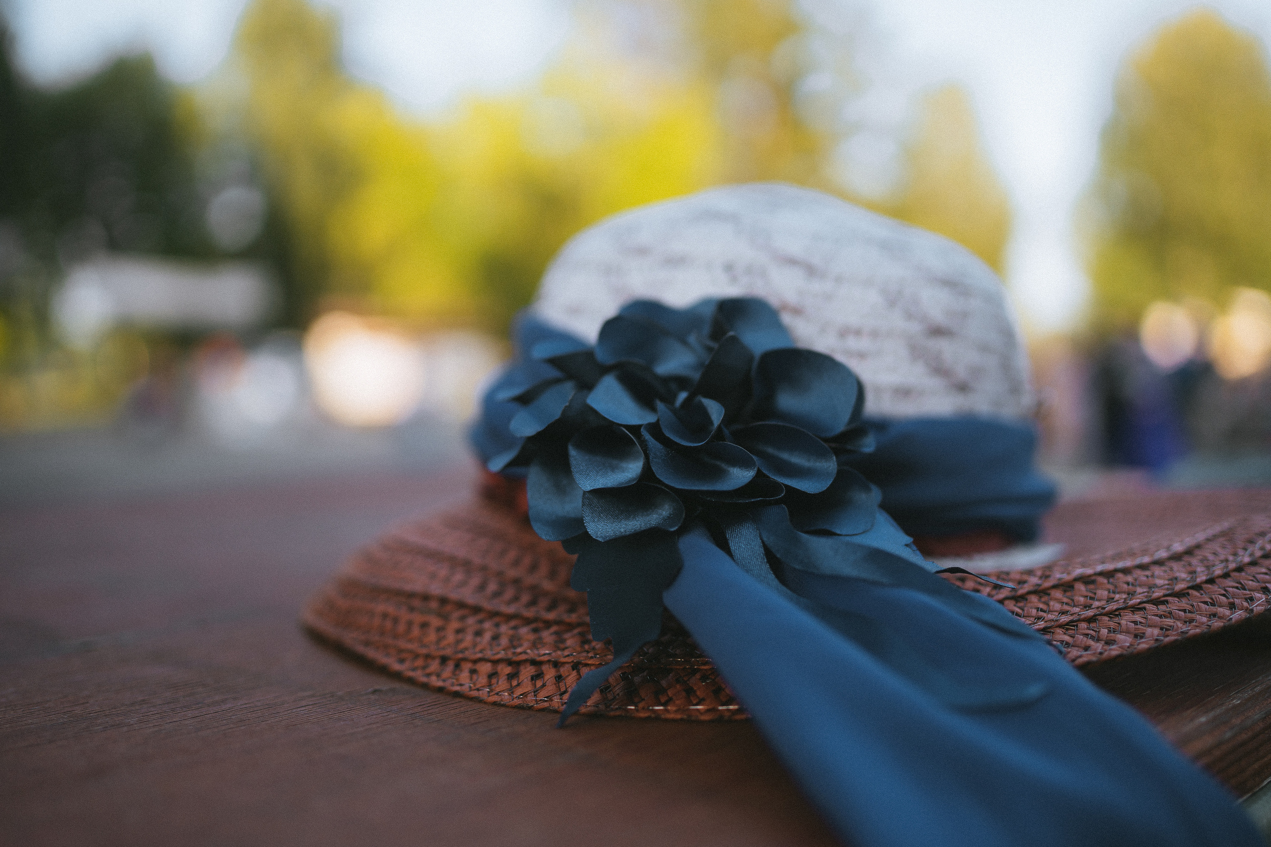 Вальсовый вечер в парке Чудес | Сюита | 2022