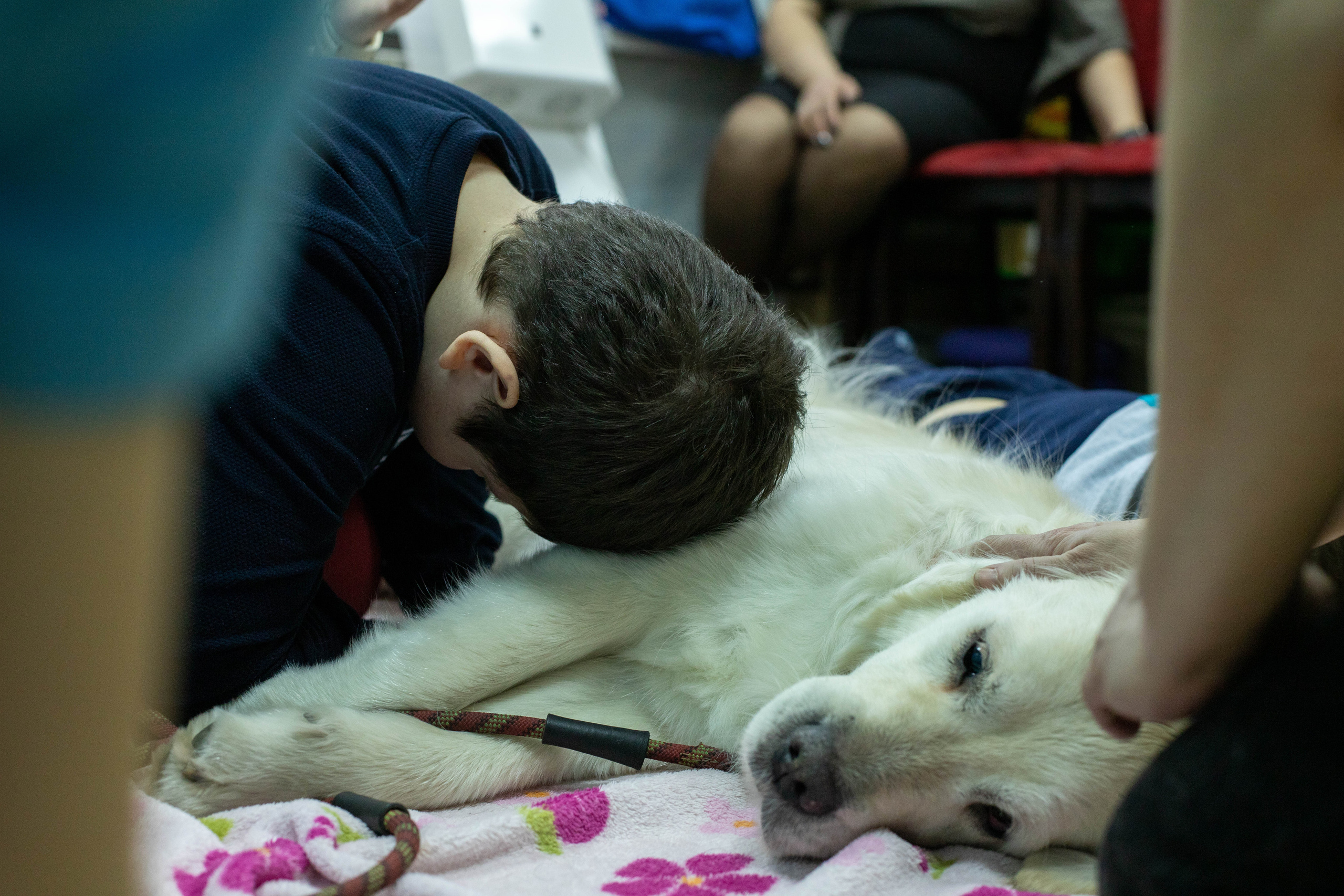 Доктор Пес: канистерапия для детей и подростков с ОВЗ | Кемерово | 2021-2022