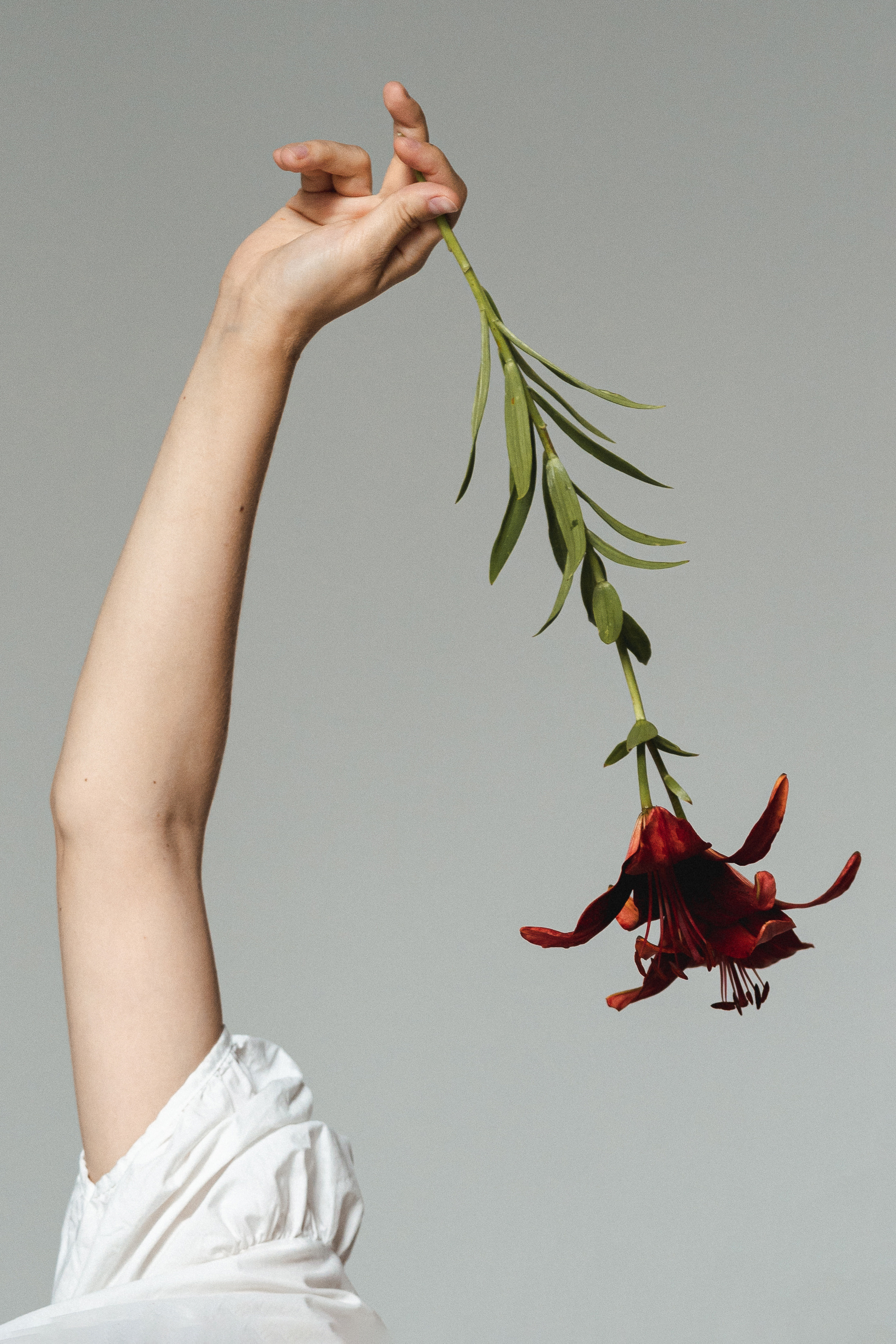 Маруся | Wabi Sabi | 2022