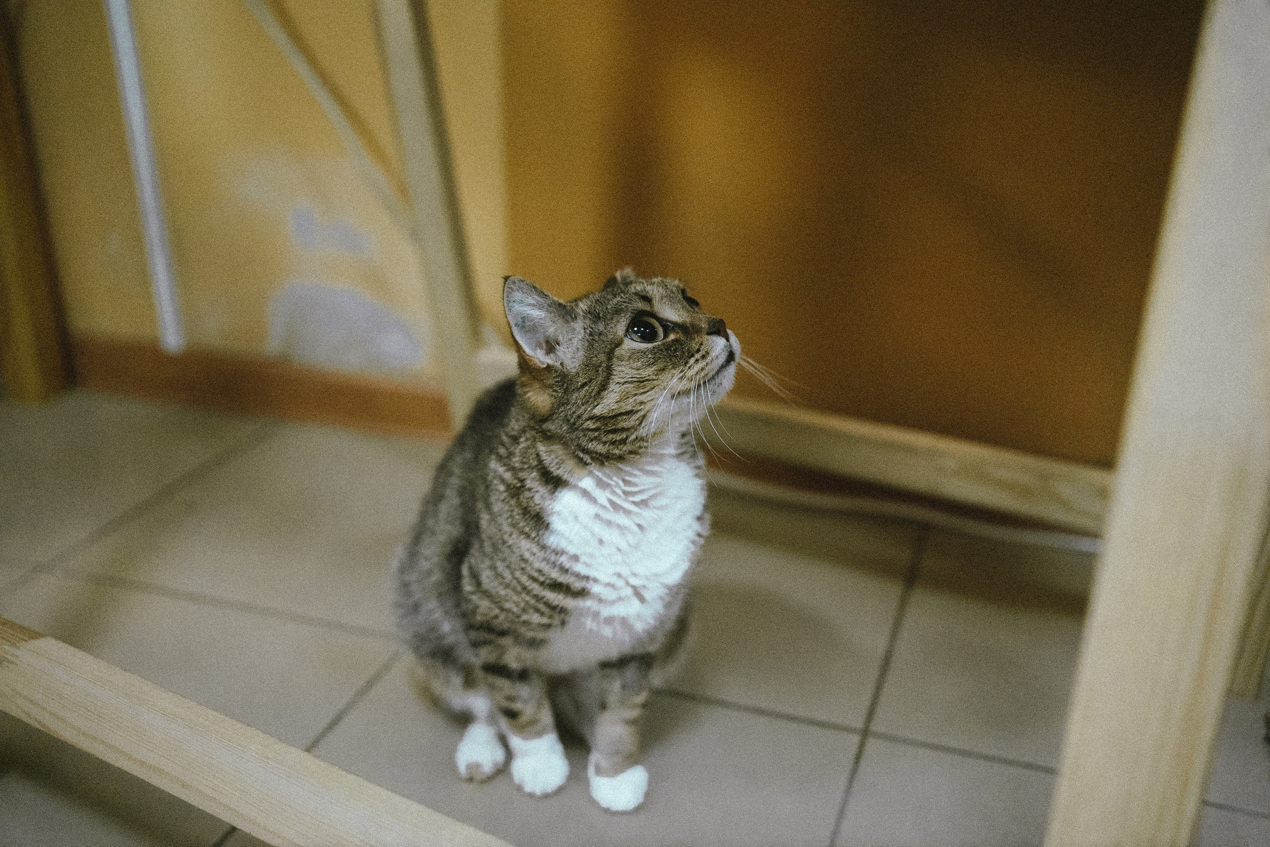 Всероссийская обучающая стажировка АВЦ в Кузбассе | 2022 | Кем-Белово-Новокуз