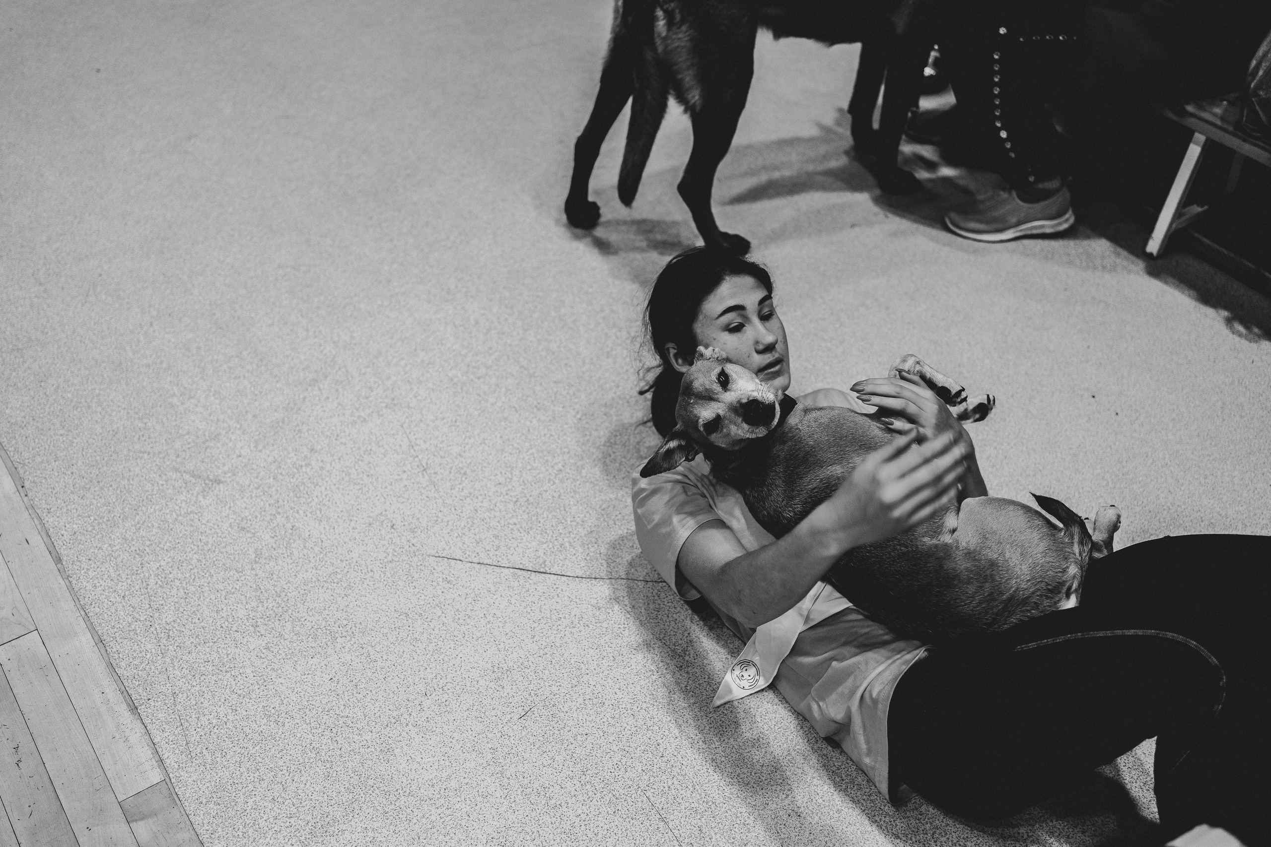 Семейный праздник «Доктор пес & компания» | 2022