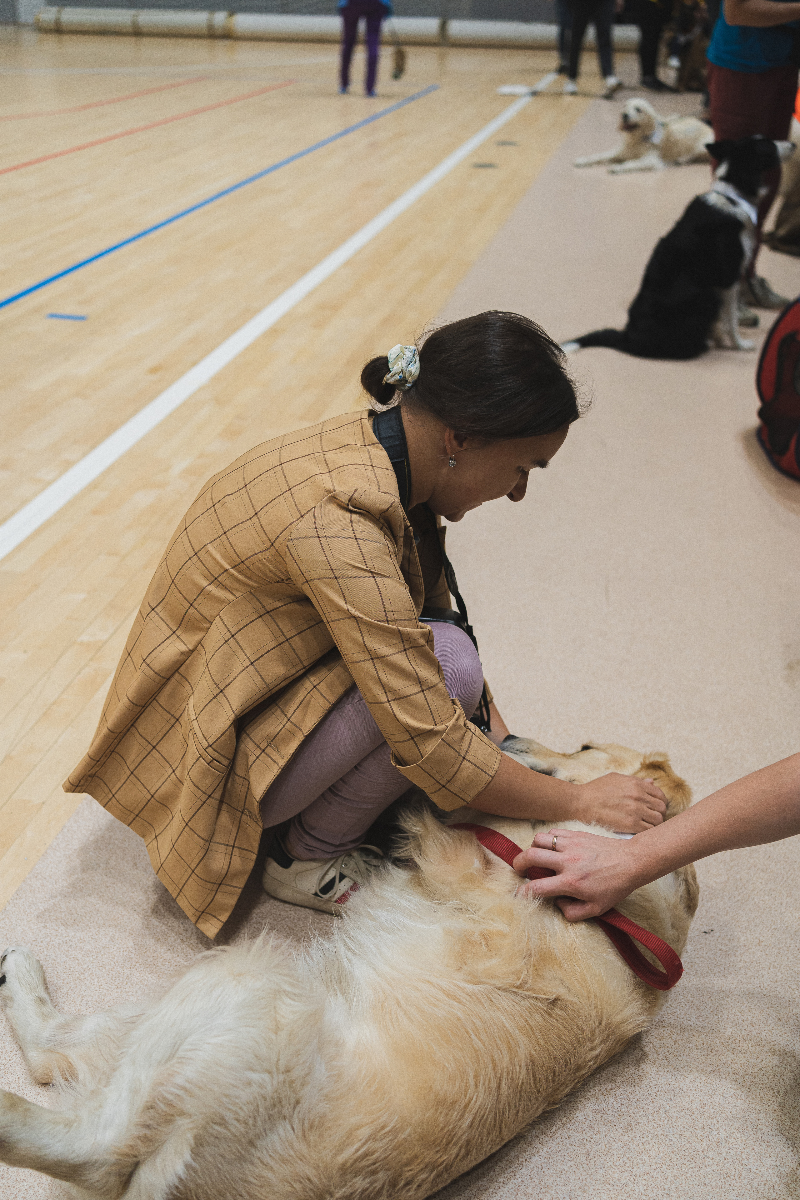 Семейный праздник «Доктор пес & компания» | 2022