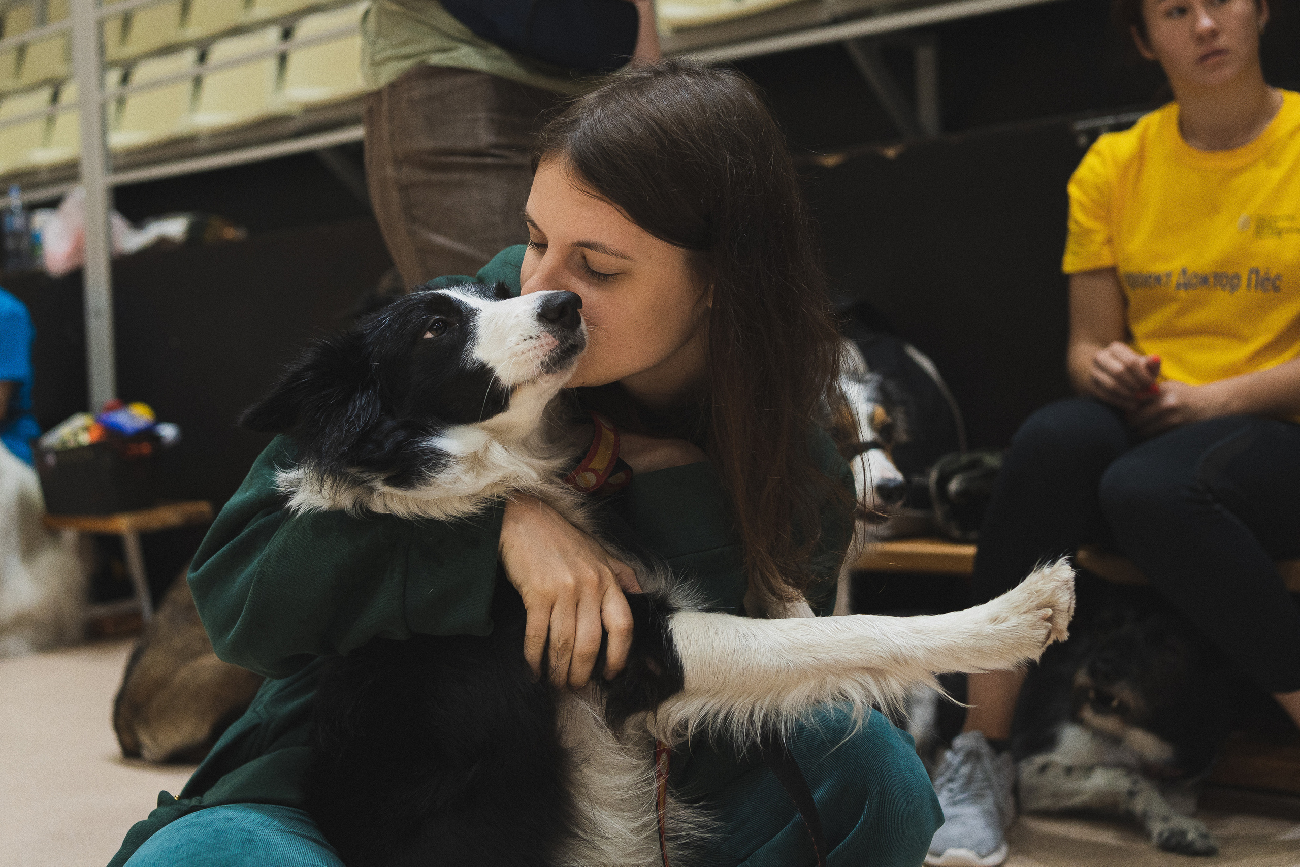 Семейный праздник «Доктор пес & компания» | 2022