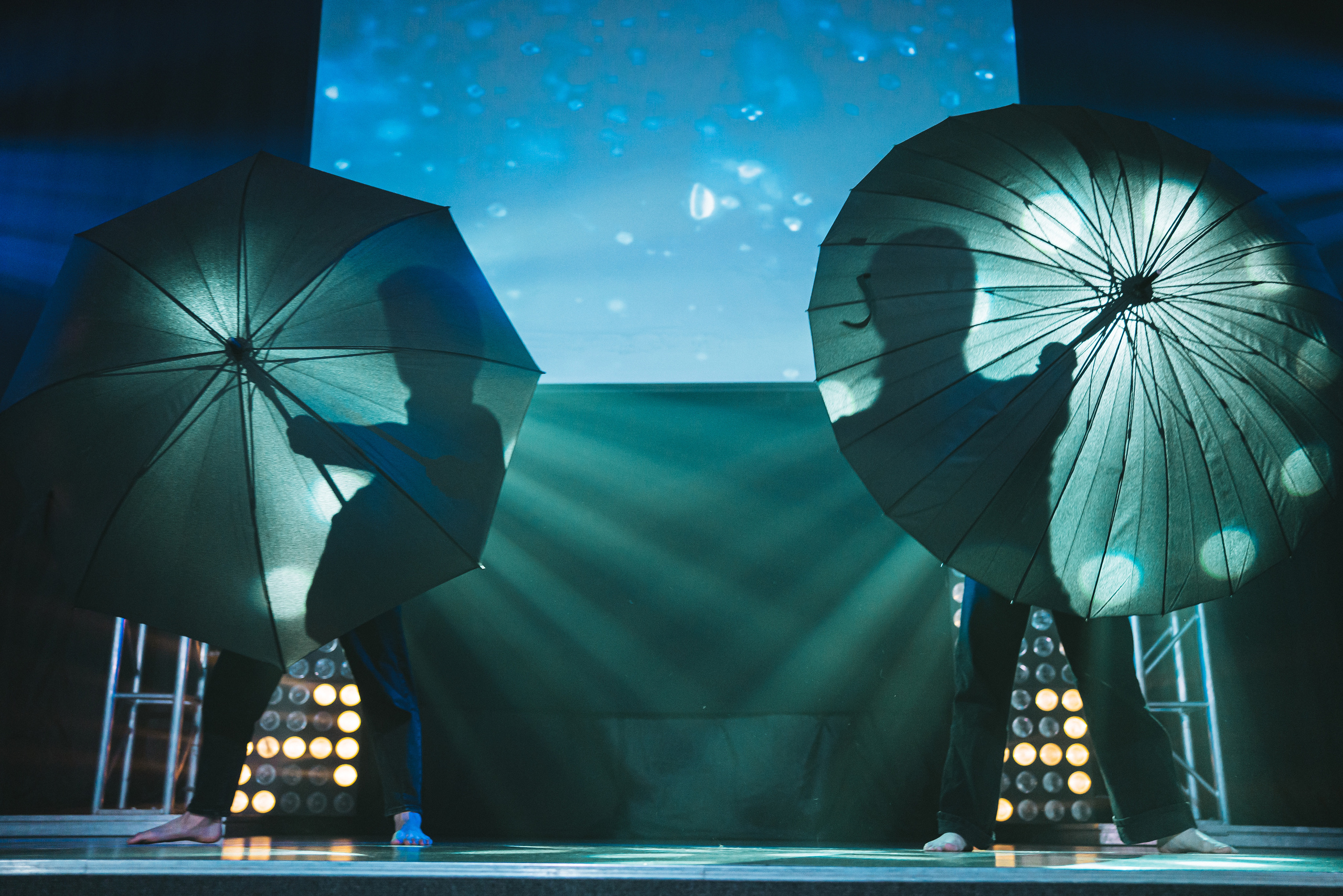 СТУДВЕСНА | КузГСХА | 2022