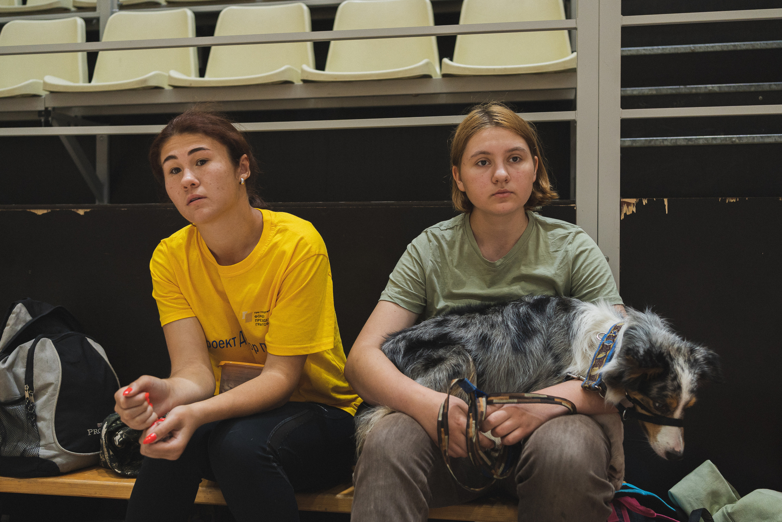 Семейный праздник «Доктор пес & компания» | 2022