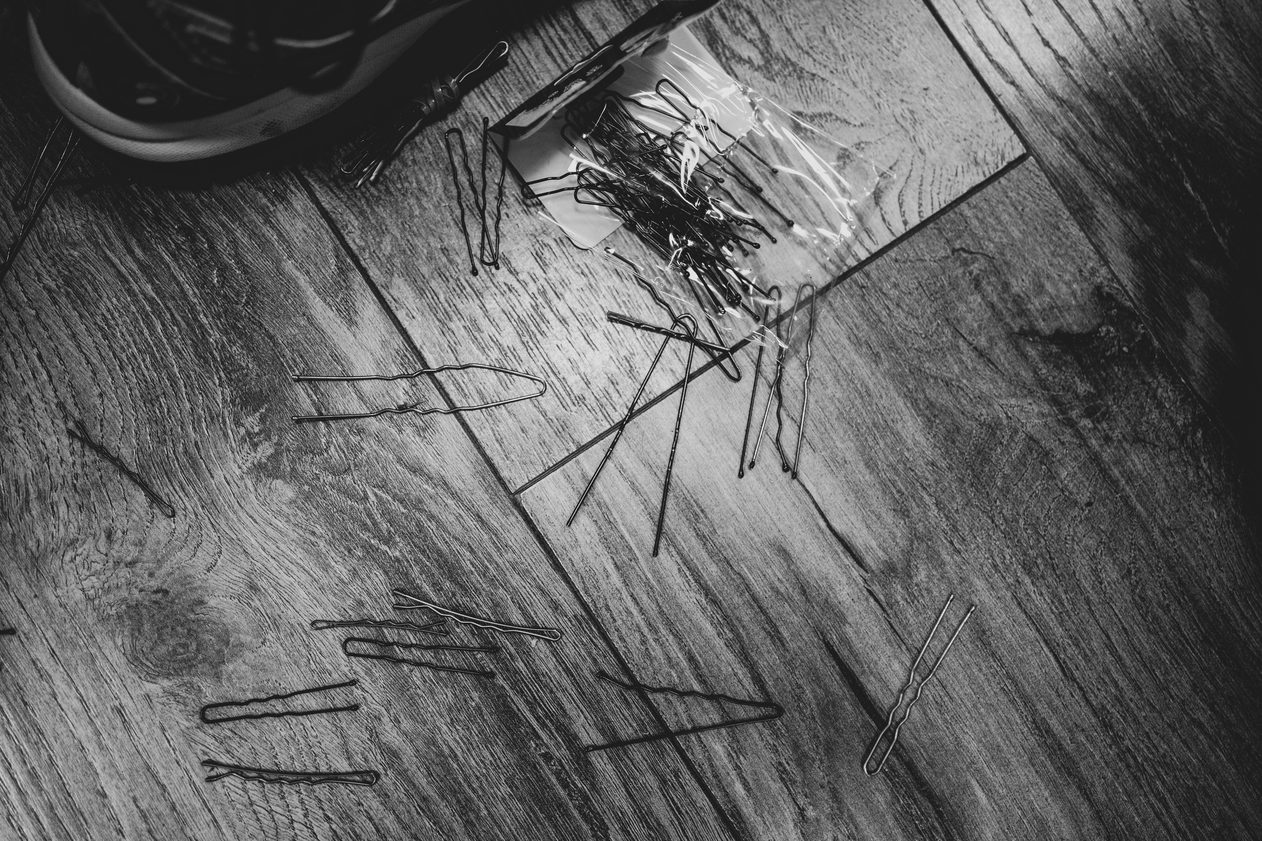 СТУДВЕСНА | КузГСХА | 2022