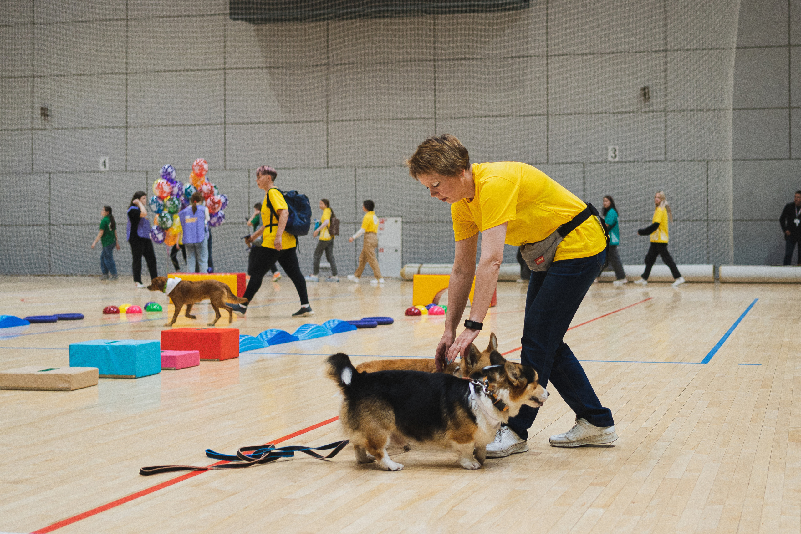 Семейный праздник «Доктор пес & компания» | 2022