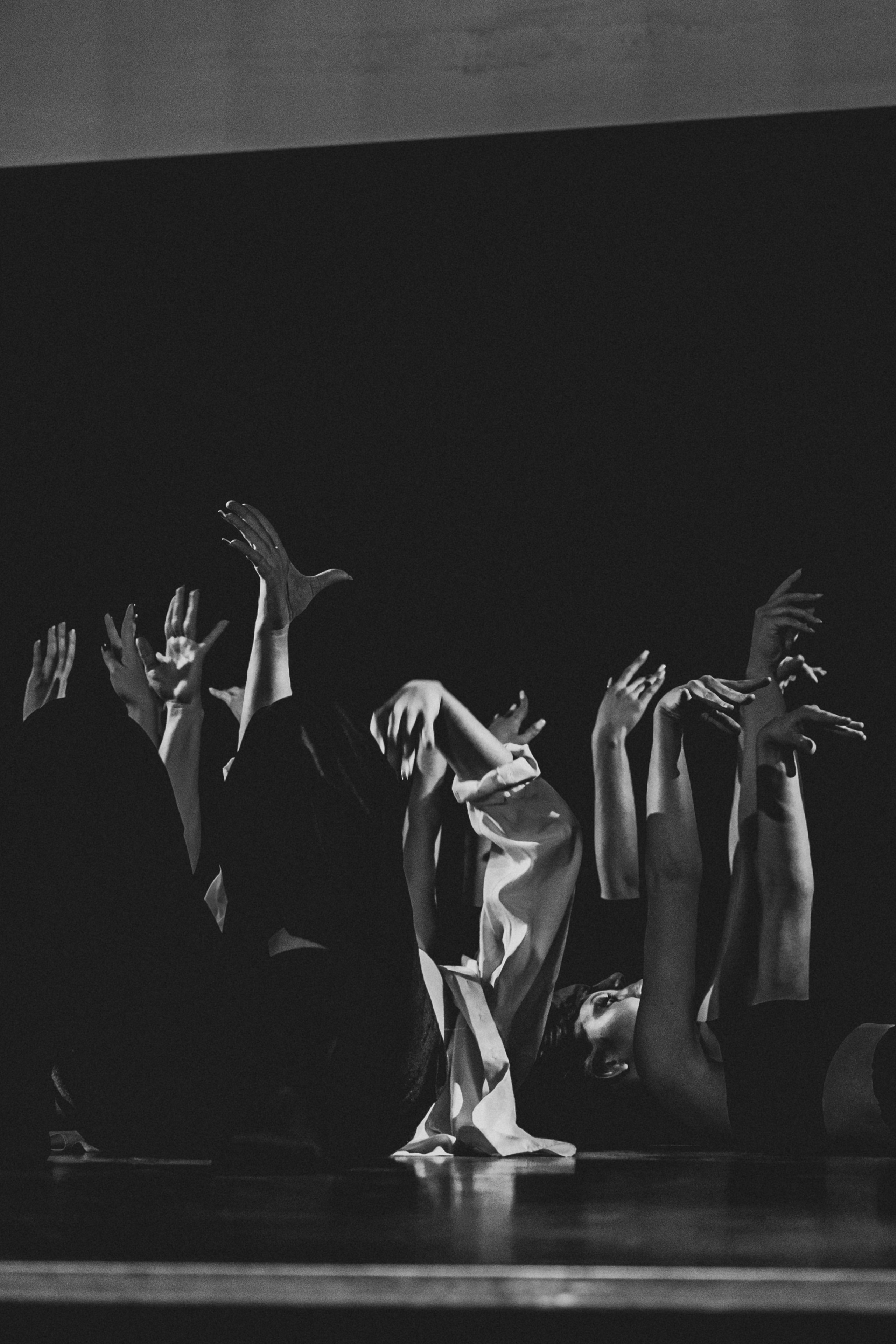 СТУДВЕСНА | КузГСХА | 2022