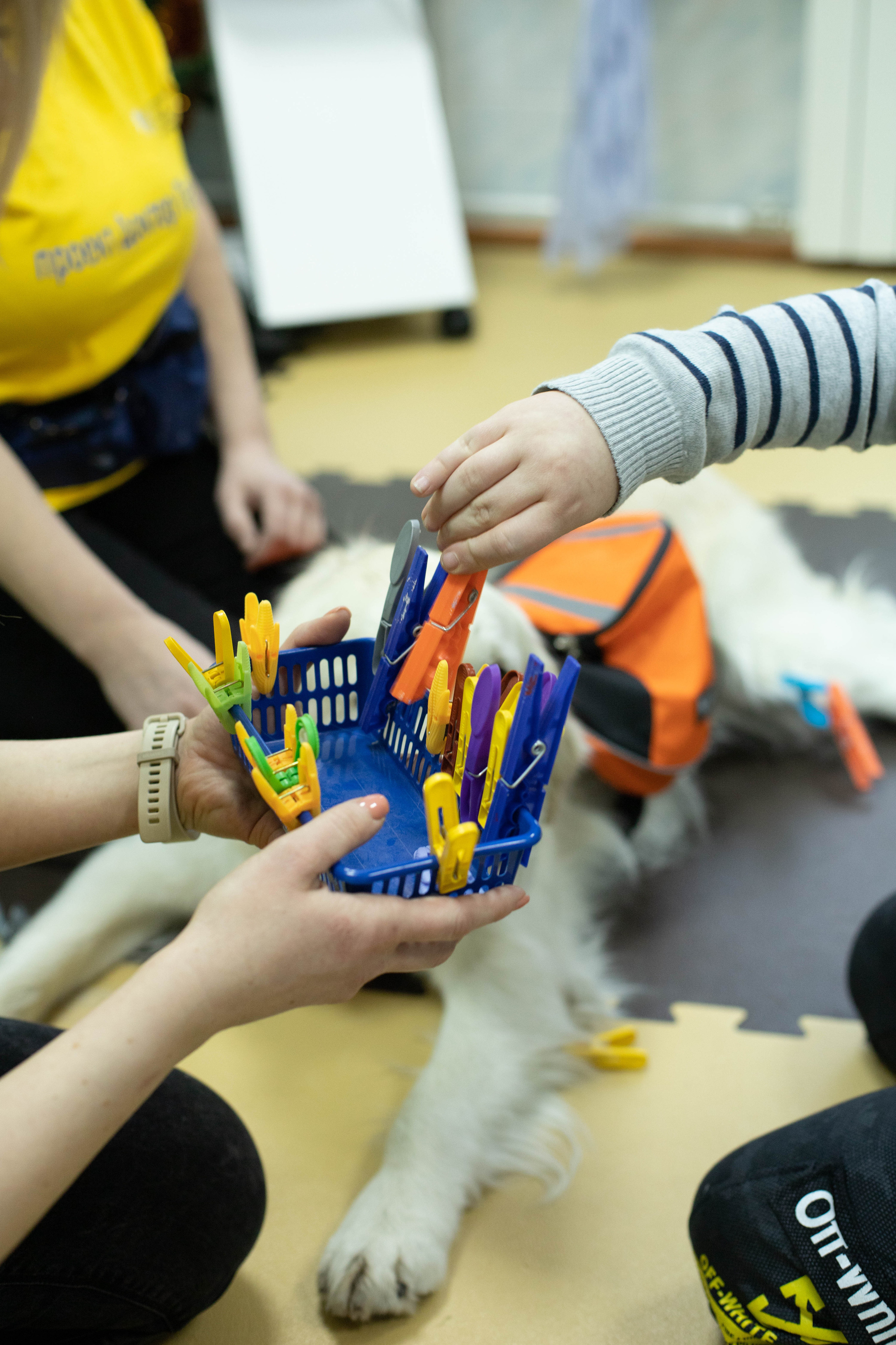 Доктор Пес: канистерапия для детей и подростков с ОВЗ | Кемерово | 2021-2022