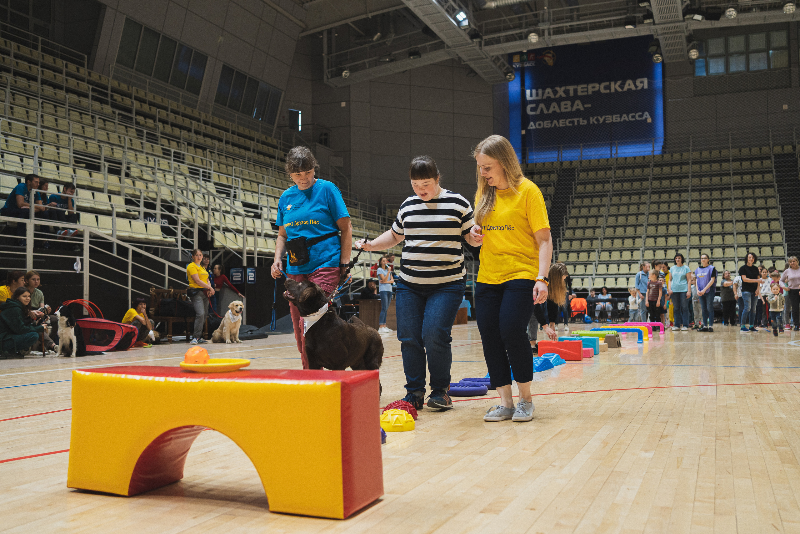 Семейный праздник «Доктор пес & компания» | 2022
