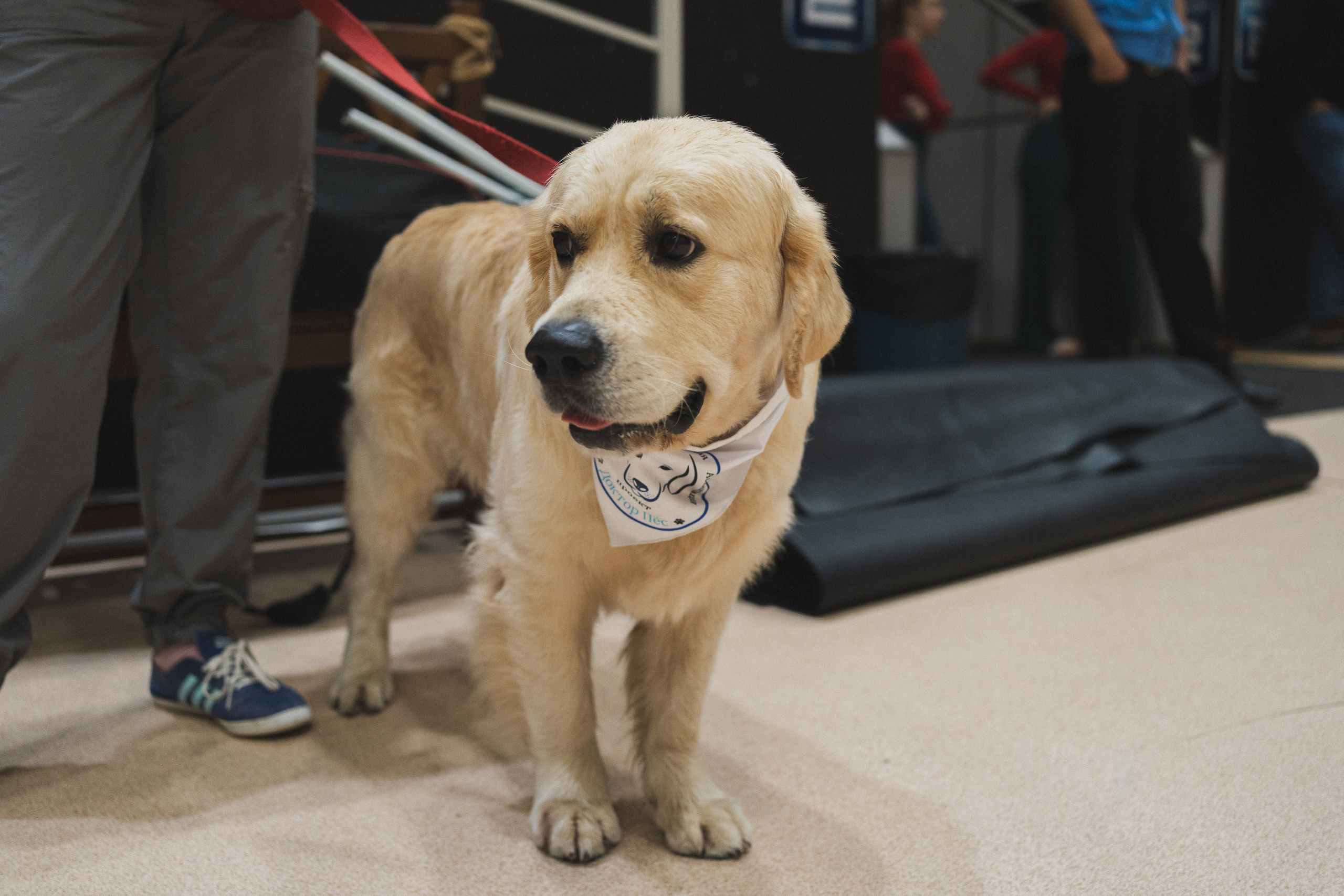 Семейный праздник «Доктор пес & компания» | 2022
