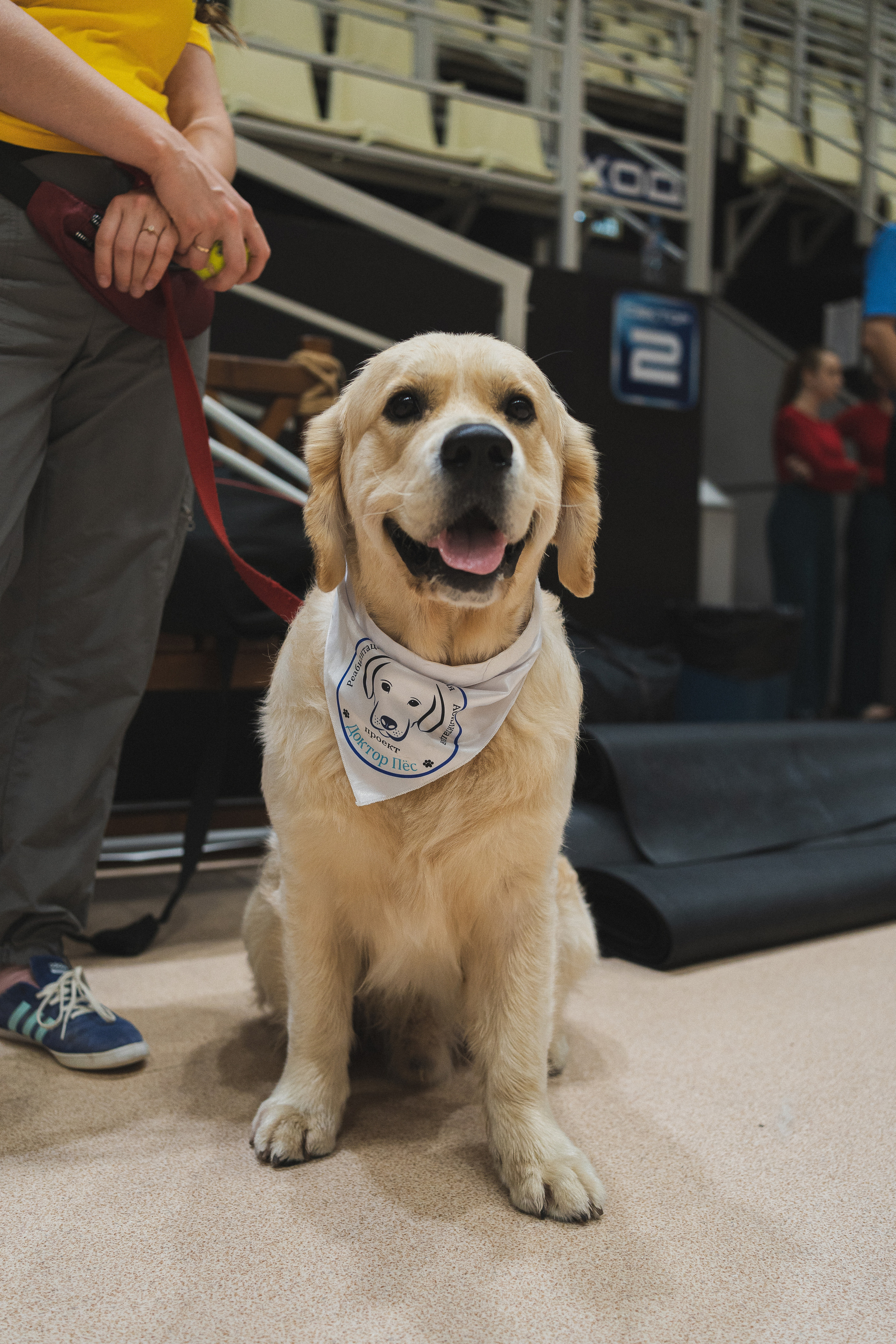 Семейный праздник «Доктор пес & компания» | 2022