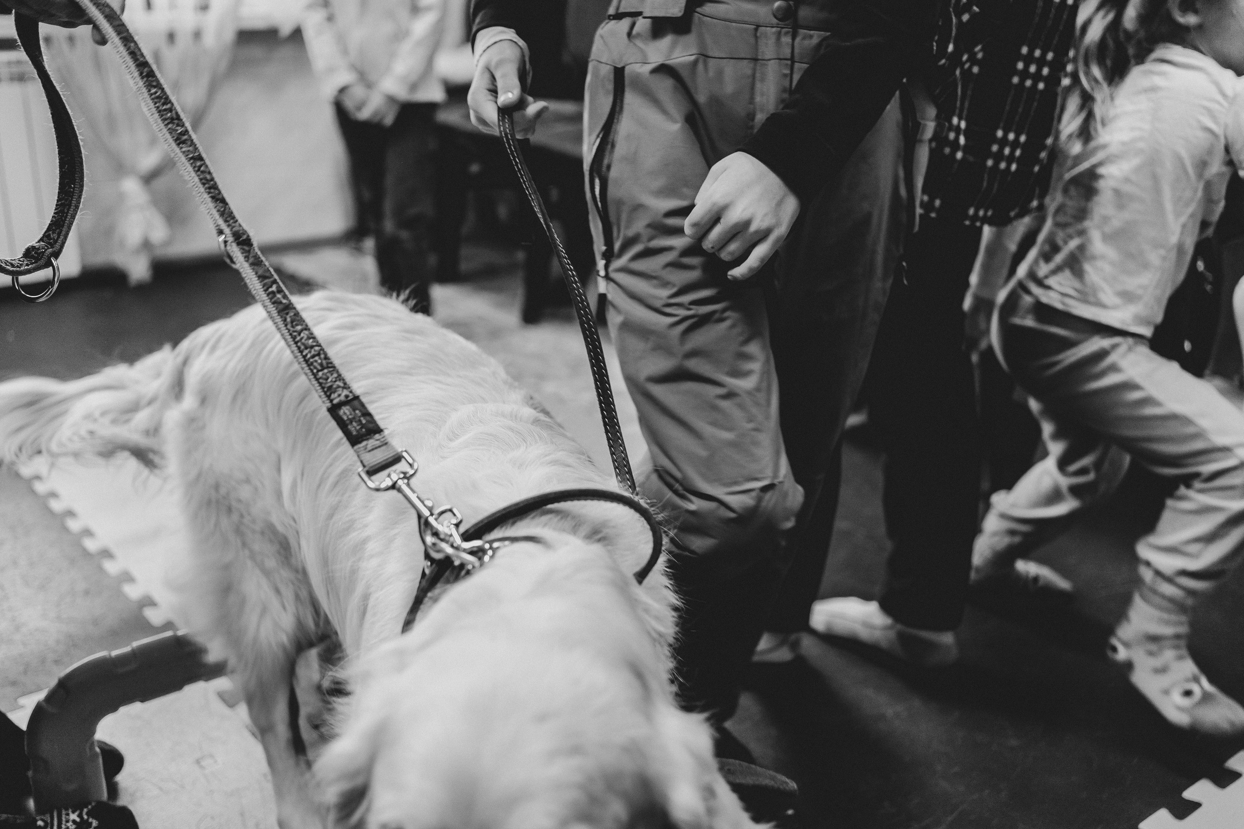 Доктор Пес: канистерапия для детей и подростков с ОВЗ | Кемерово | 2021-2022