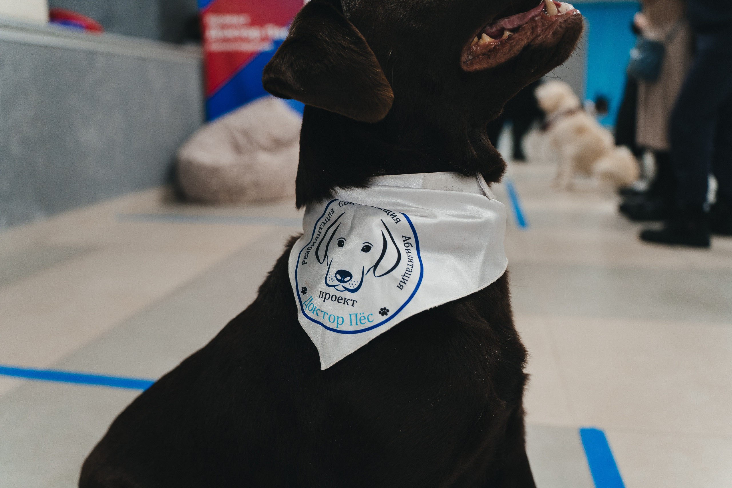 Региональный фестиваль добровольцев «Делаем добро в Кузбассе» | ЛДК | 2022