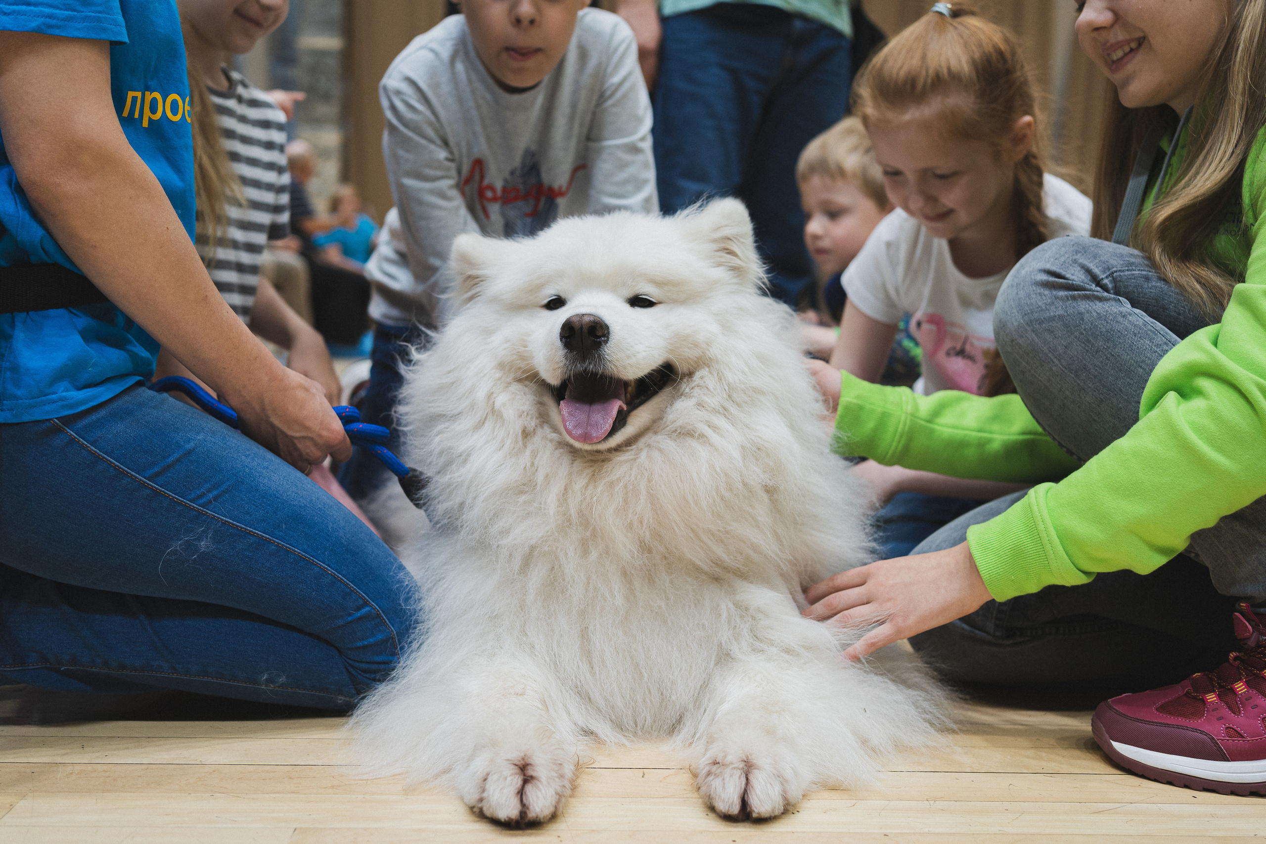 Семейный праздник «Доктор пес & компания» | 2022