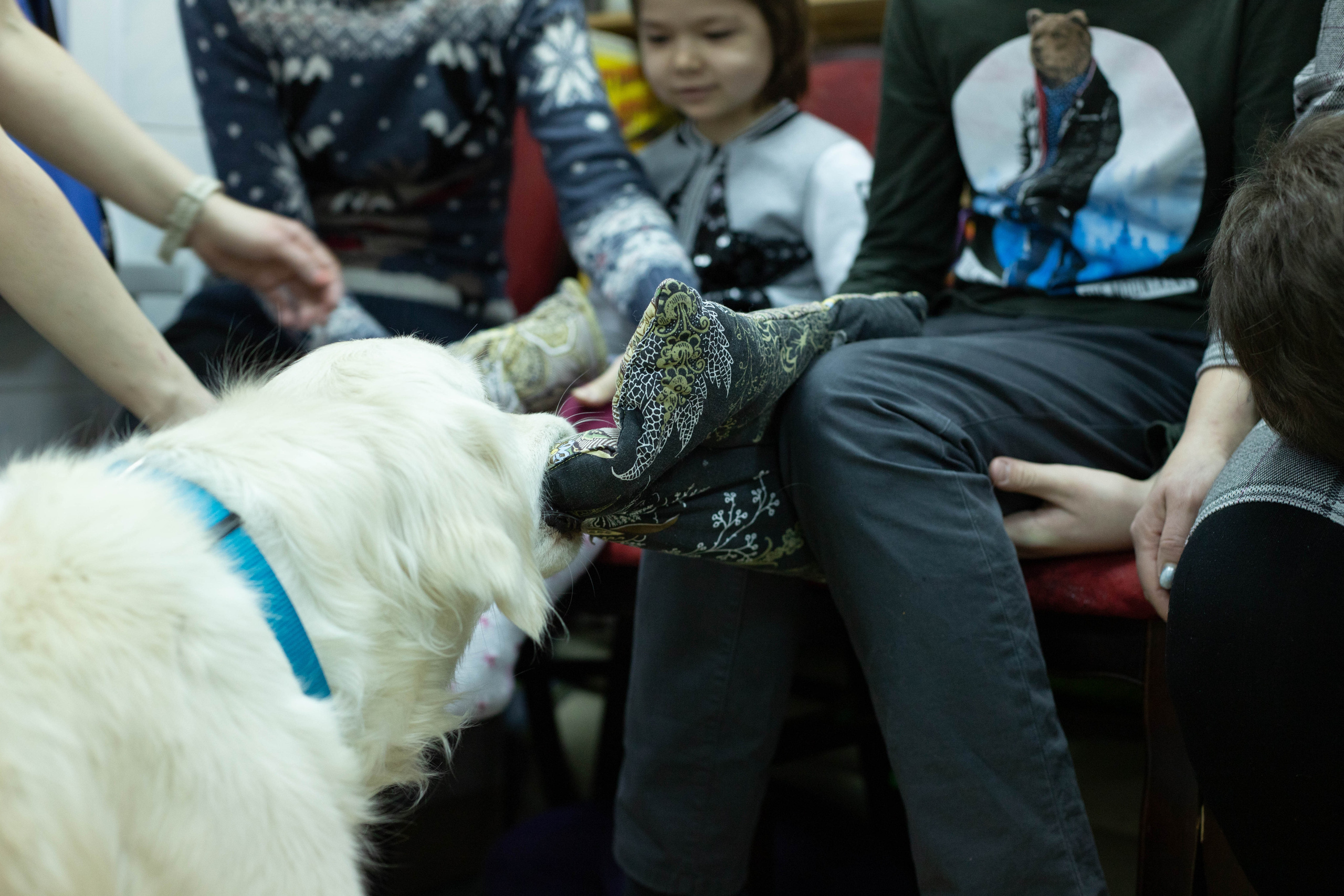 Доктор Пес: канистерапия для детей и подростков с ОВЗ | Кемерово | 2021-2022