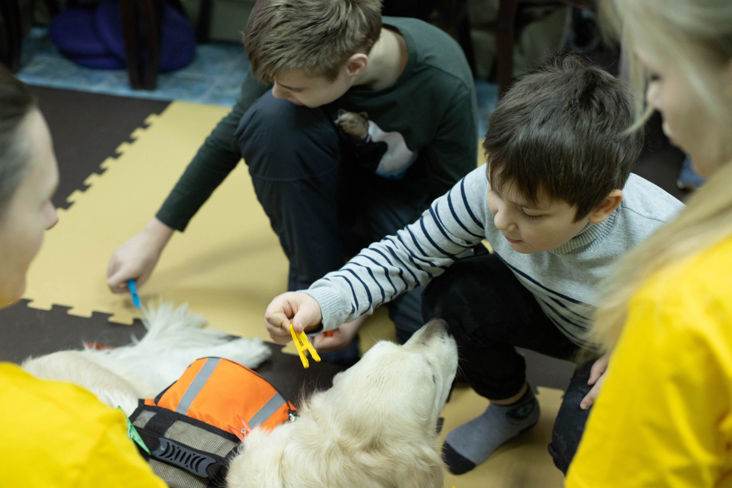 Доктор Пес: канистерапия для детей и подростков с ОВЗ | Кемерово | 2021-2022