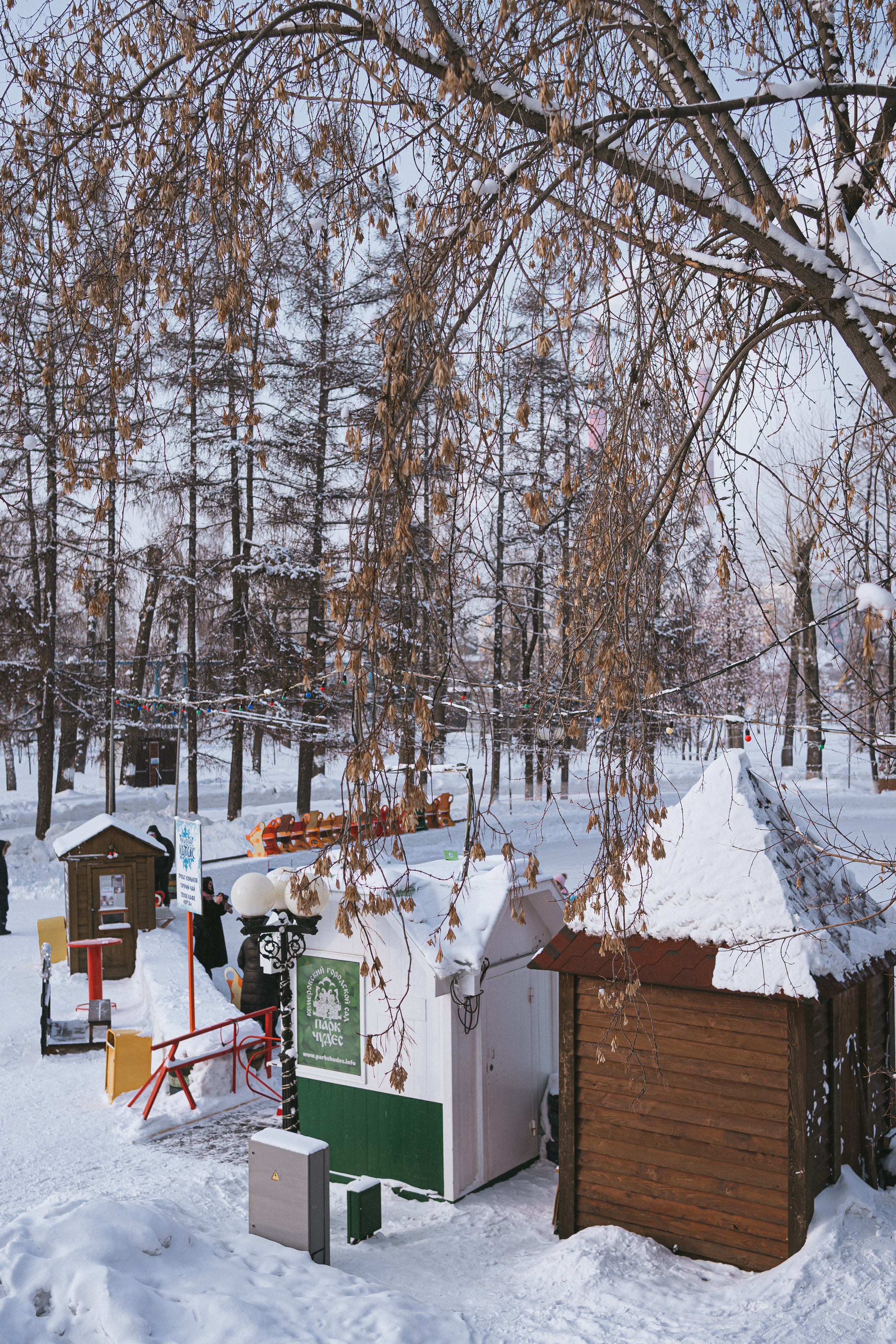 II Региональный конкурс «Лучший Дед Мороз-волонтёр Кузбасса и Снегурочка» | 2021