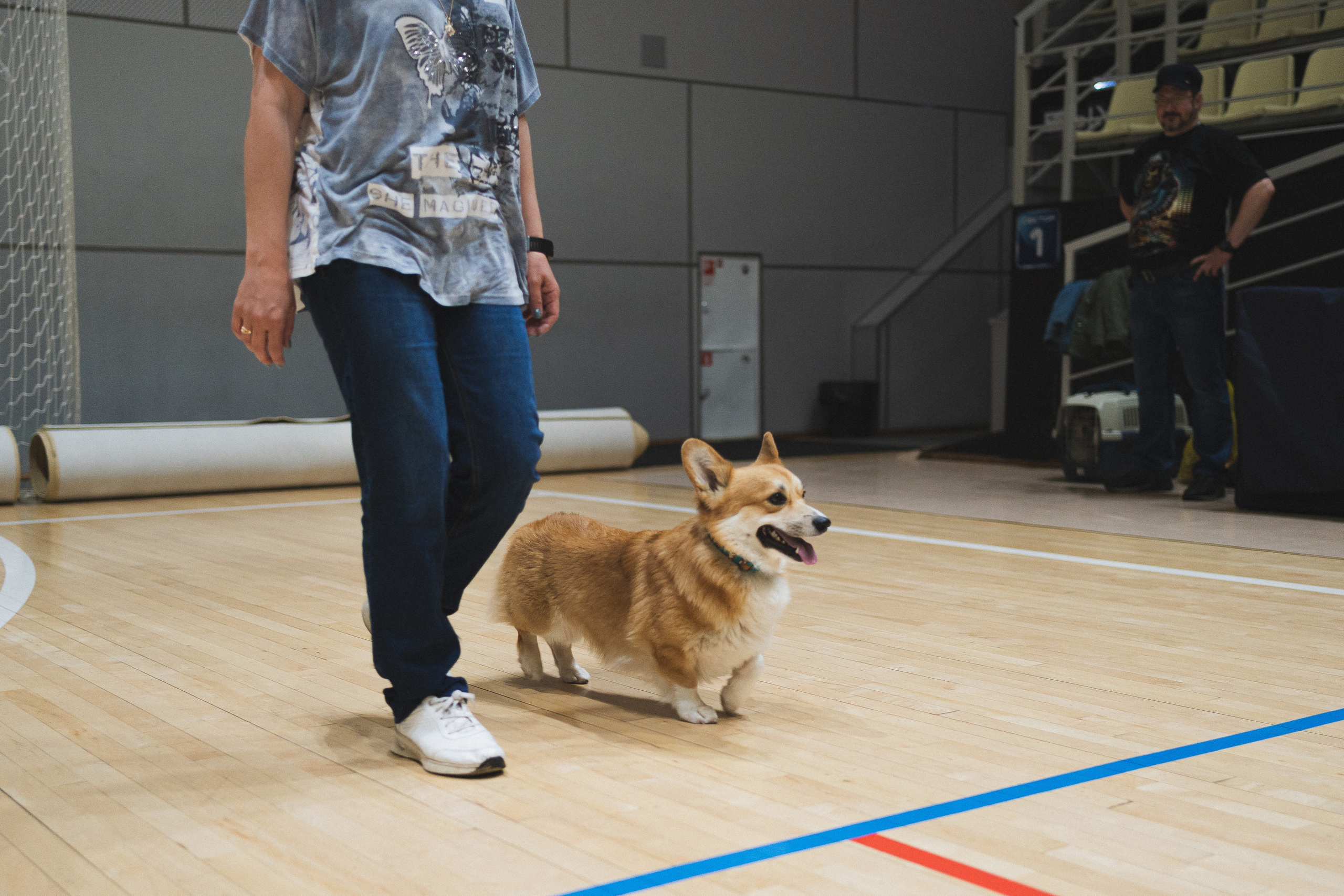 Семейный праздник «Доктор пес & компания» | 2022