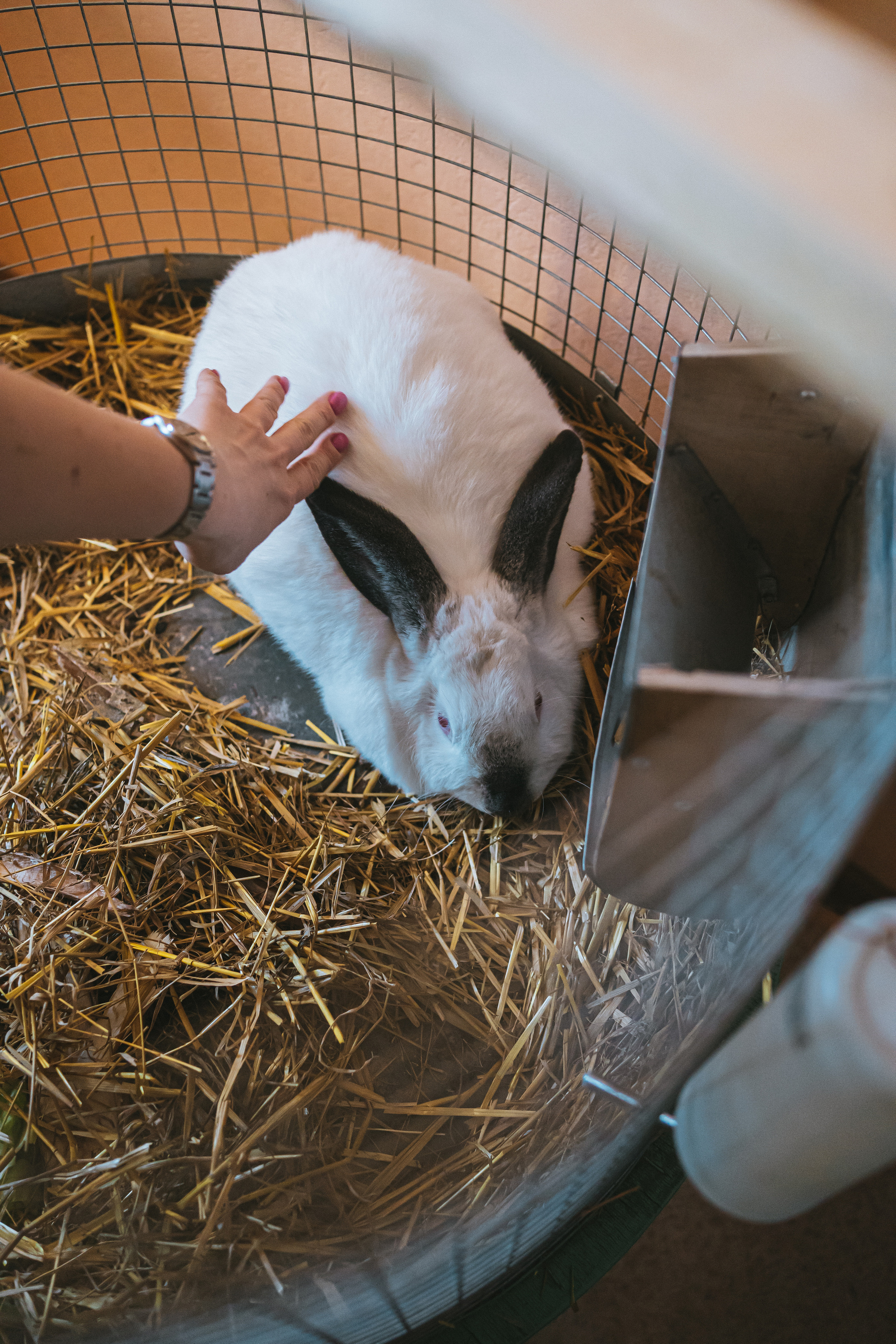 Всероссийская обучающая стажировка АВЦ в Кузбассе | 2022 | Кем-Белово-Новокуз